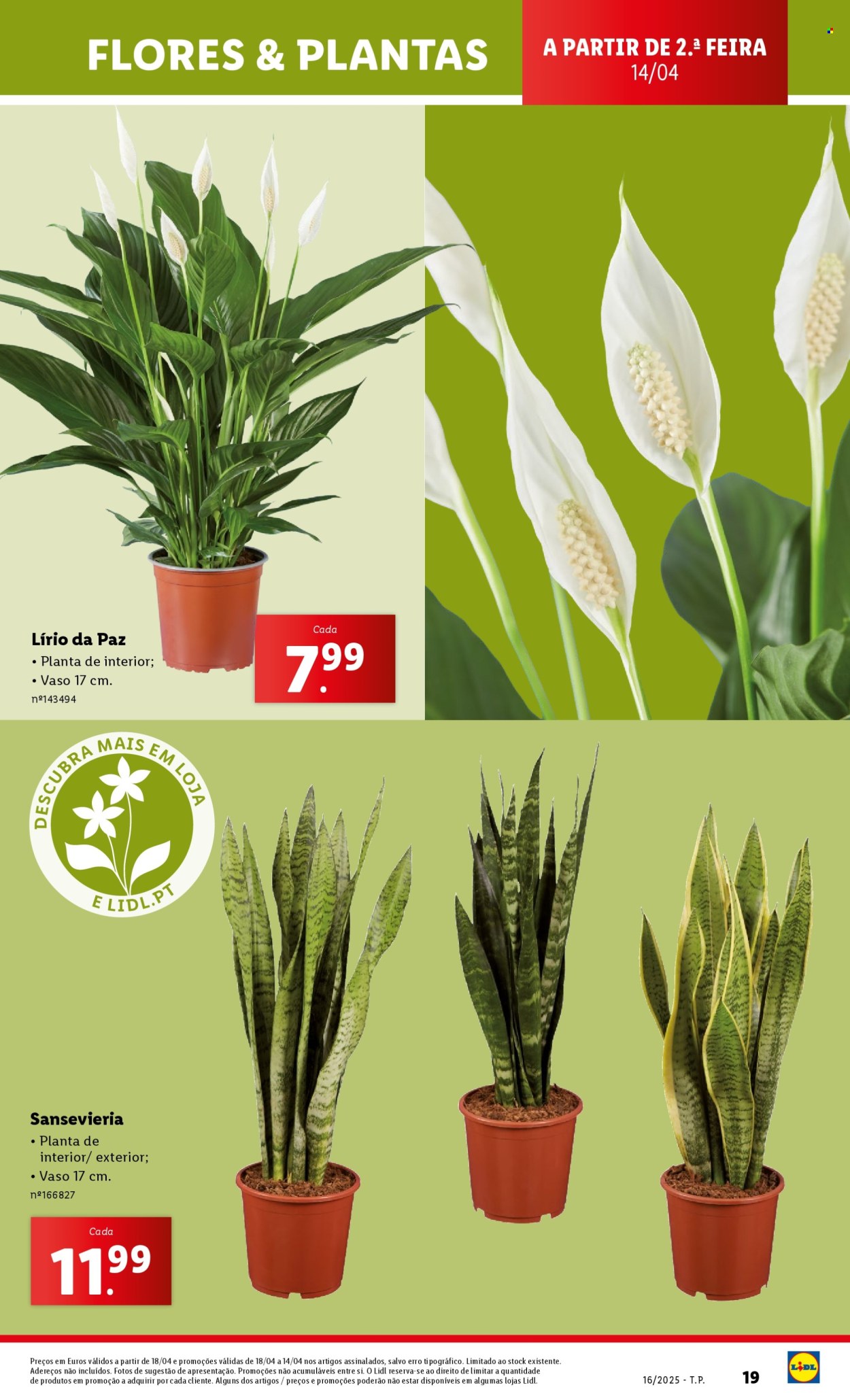 Folheto Lidl - 14.4.2025 - 20.4.2025. Página 19