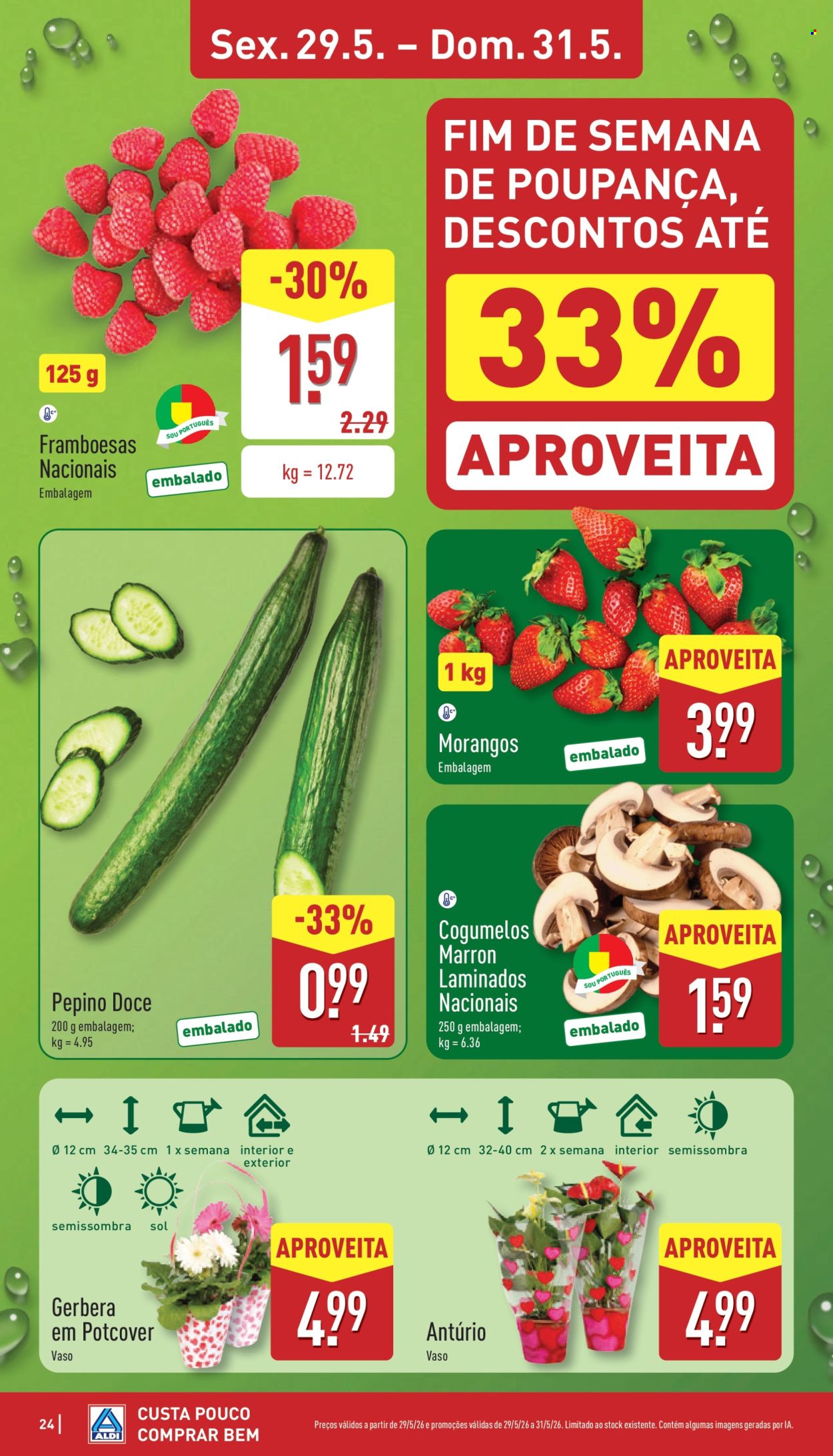 Folheto Aldi - 25.5.2026 - 31.5.2026. Página 24