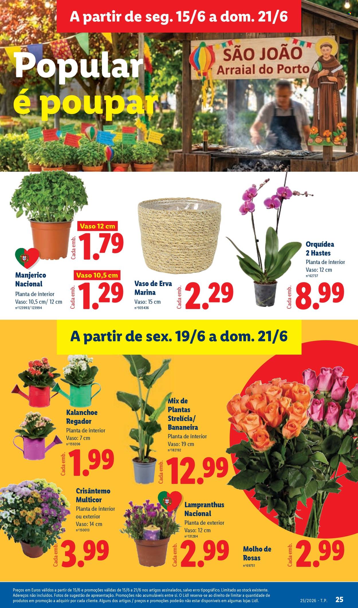 Folheto Lidl - 15.6.2026 - 21.6.2026. Página 25
