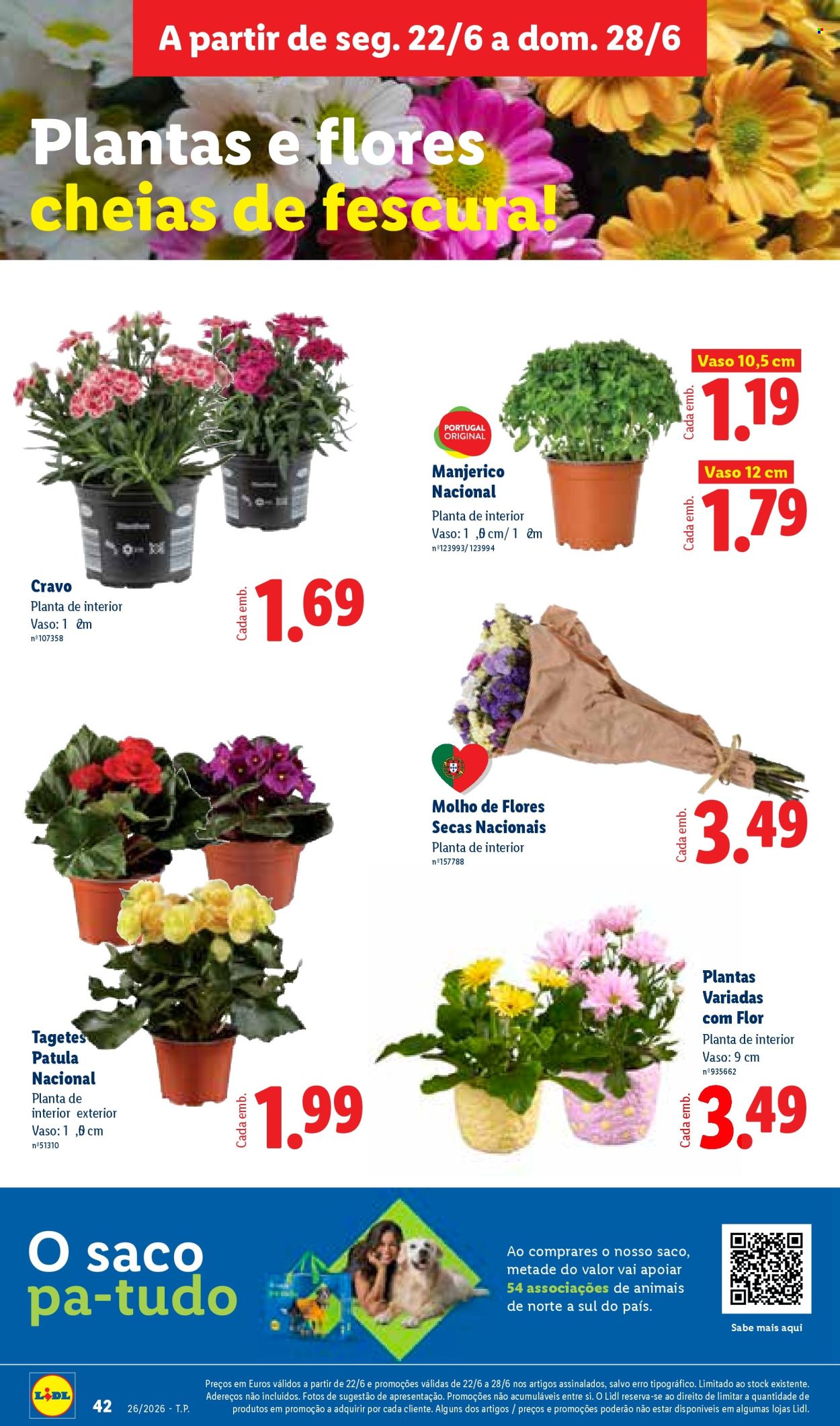Folheto Lidl - 22.6.2026 - 28.6.2026. Página 42