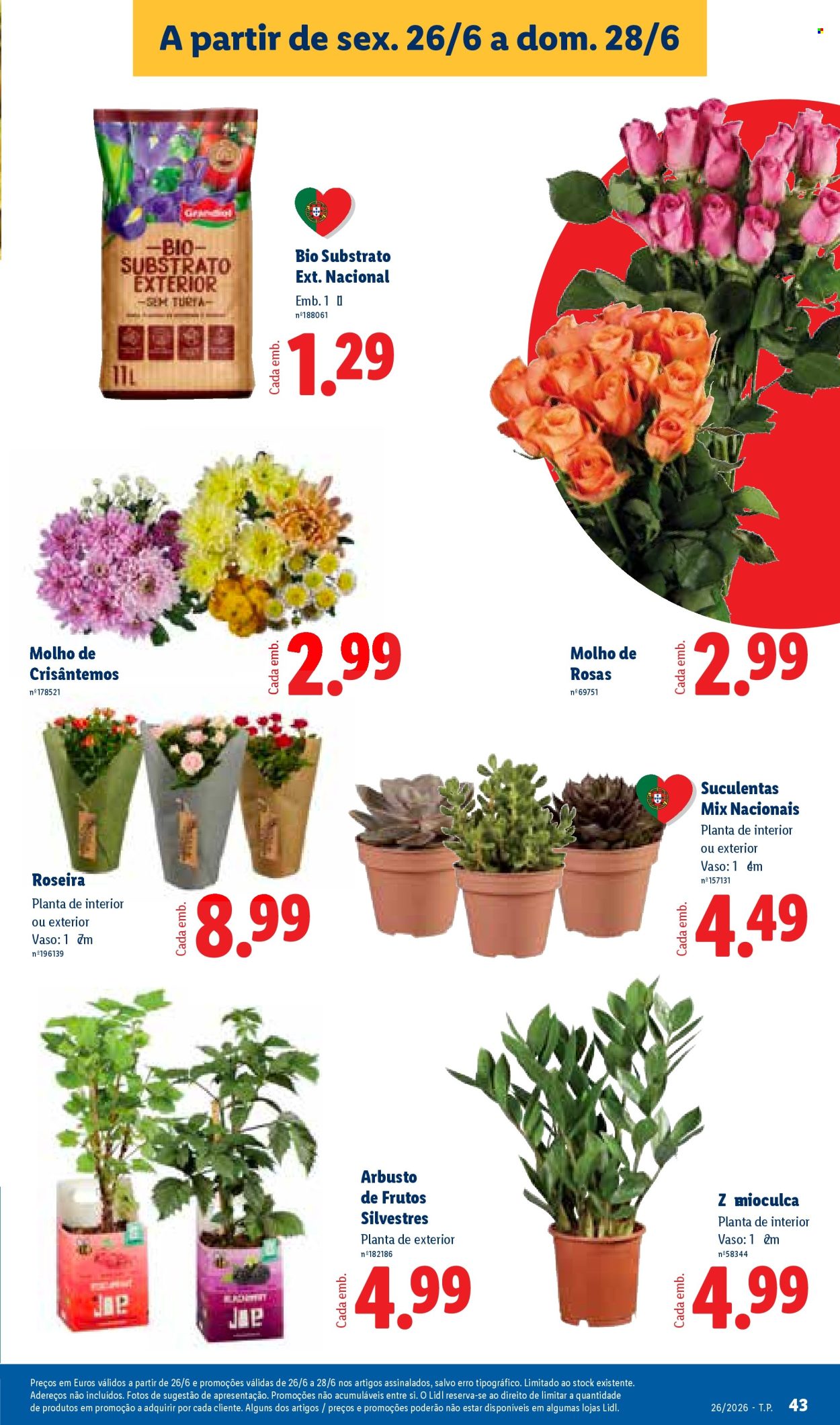 Folheto Lidl - 22.6.2026 - 28.6.2026. Página 43