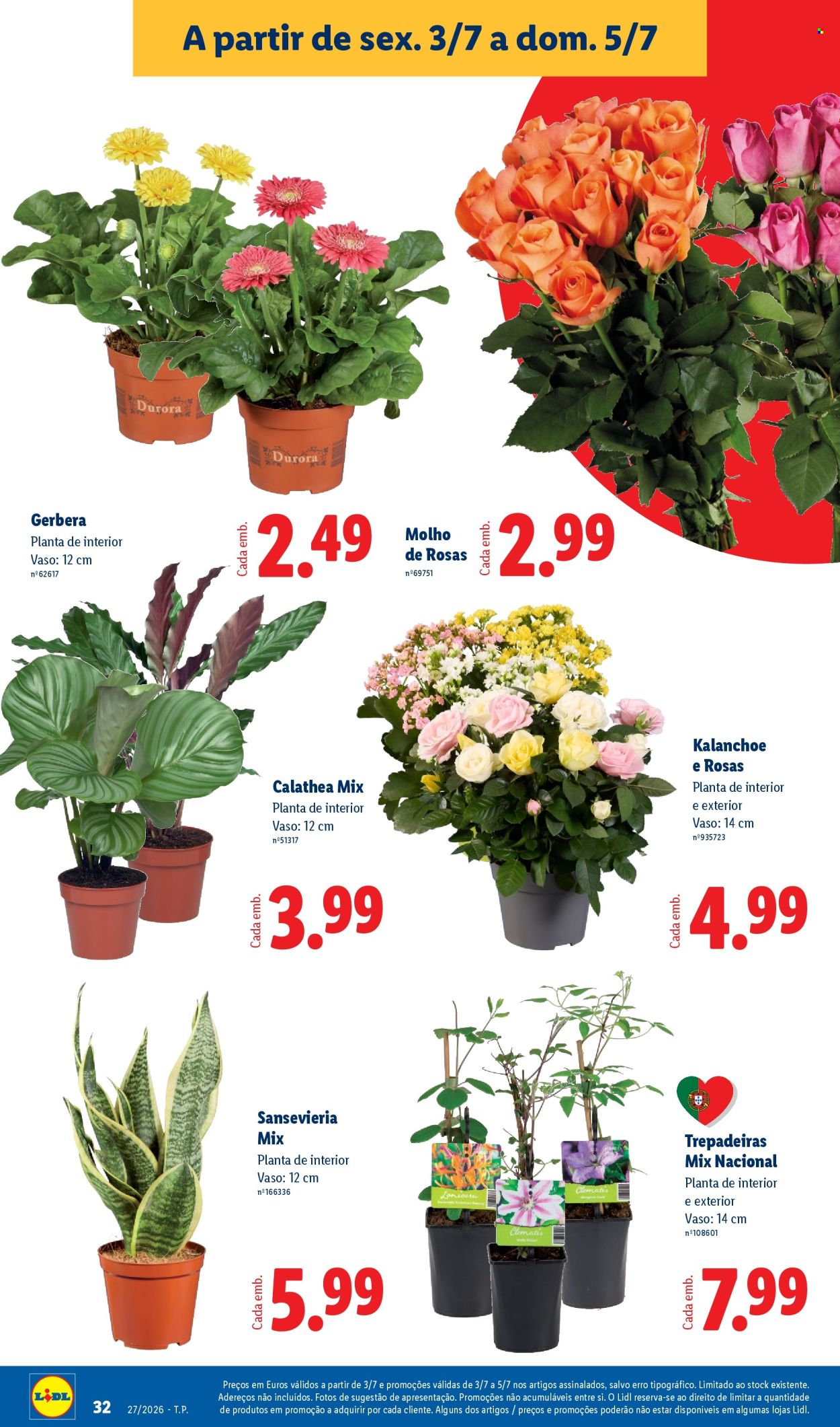 Folheto Lidl - 29.6.2026 - 5.7.2026. Página 32