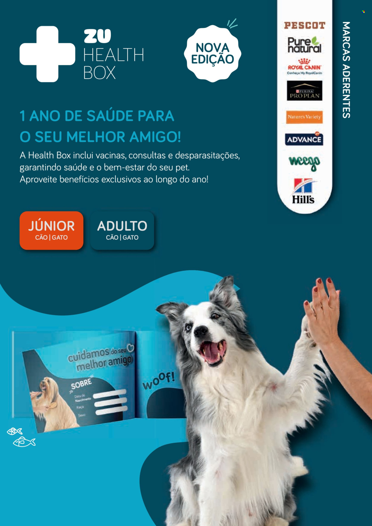 Folheto ZU - 2.7.2026 - 31.8.2026. Página 20