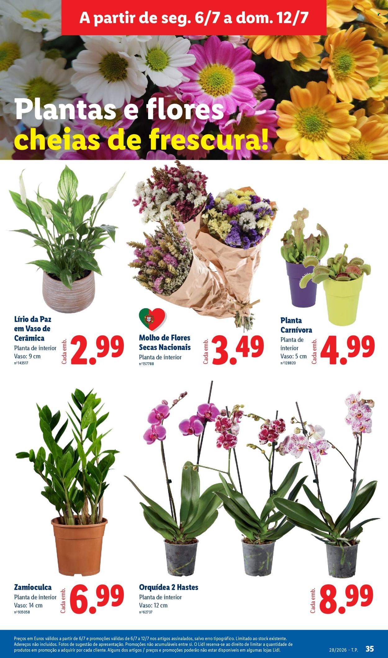 Folheto Lidl - 6.7.2026 - 12.7.2026. Página 35