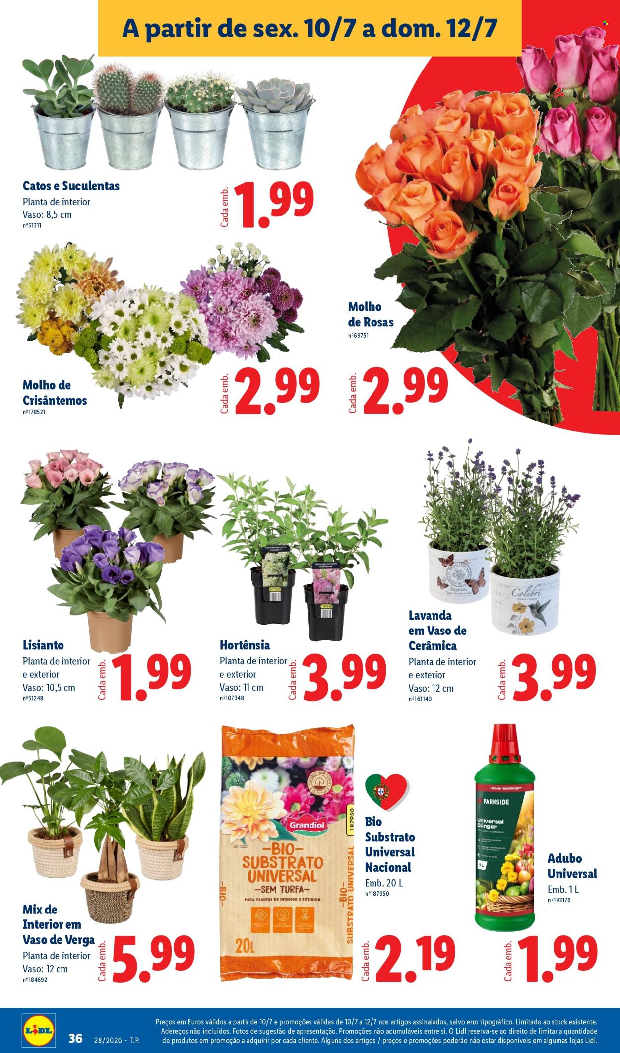 Folheto Lidl - 6.7.2026 - 12.7.2026. Página 36