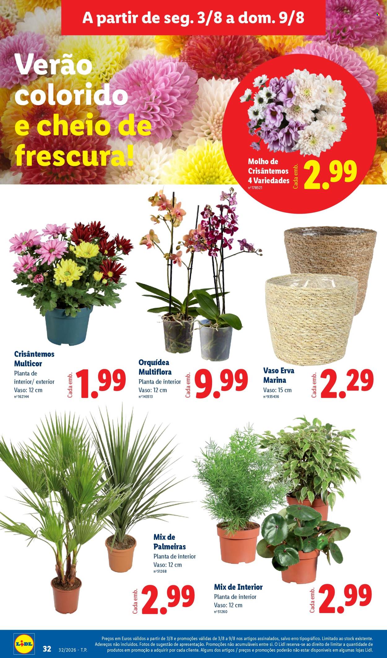 Folheto Lidl - 3.8.2026 - 9.8.2026. Página 32