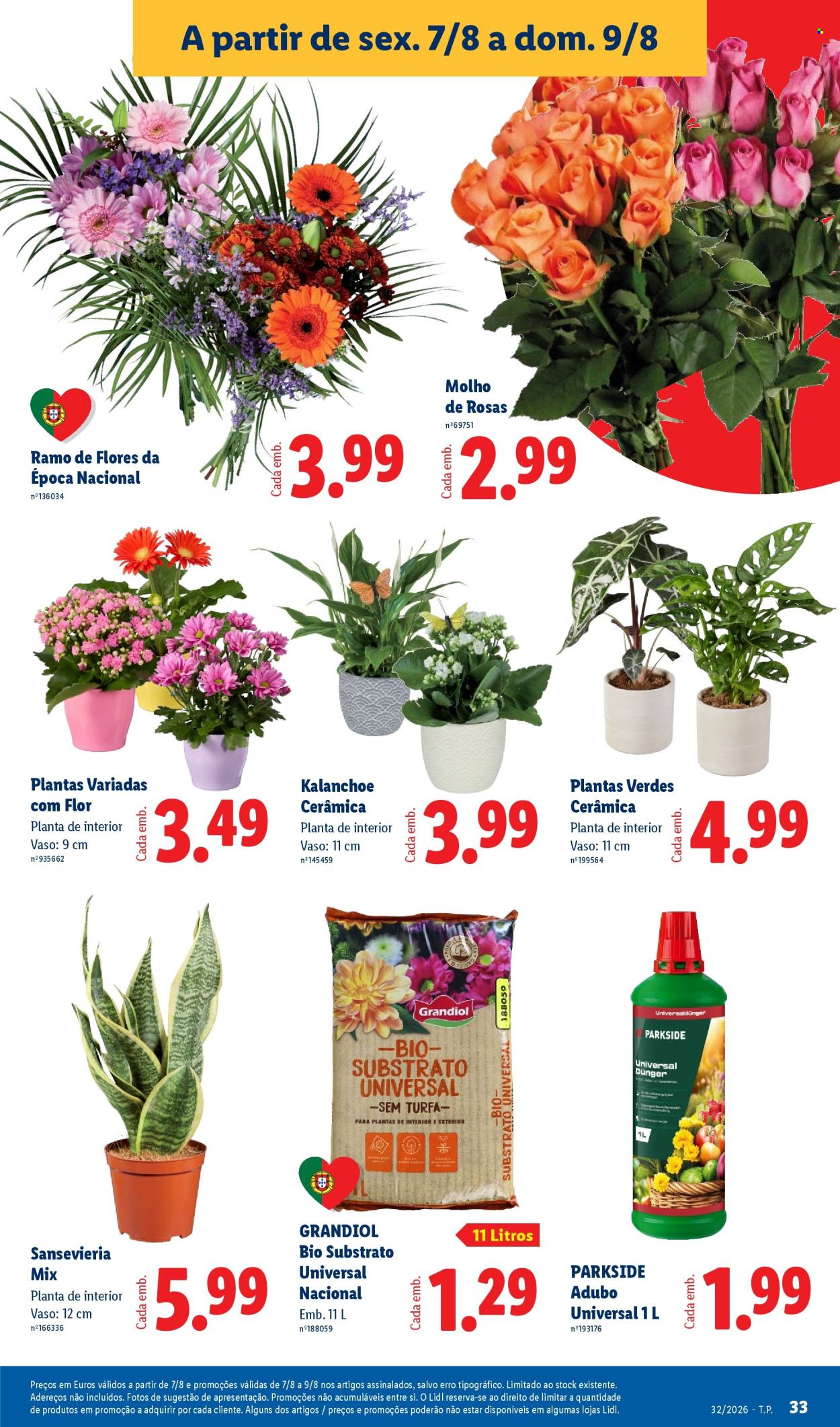 Folheto Lidl - 3.8.2026 - 9.8.2026. Página 33