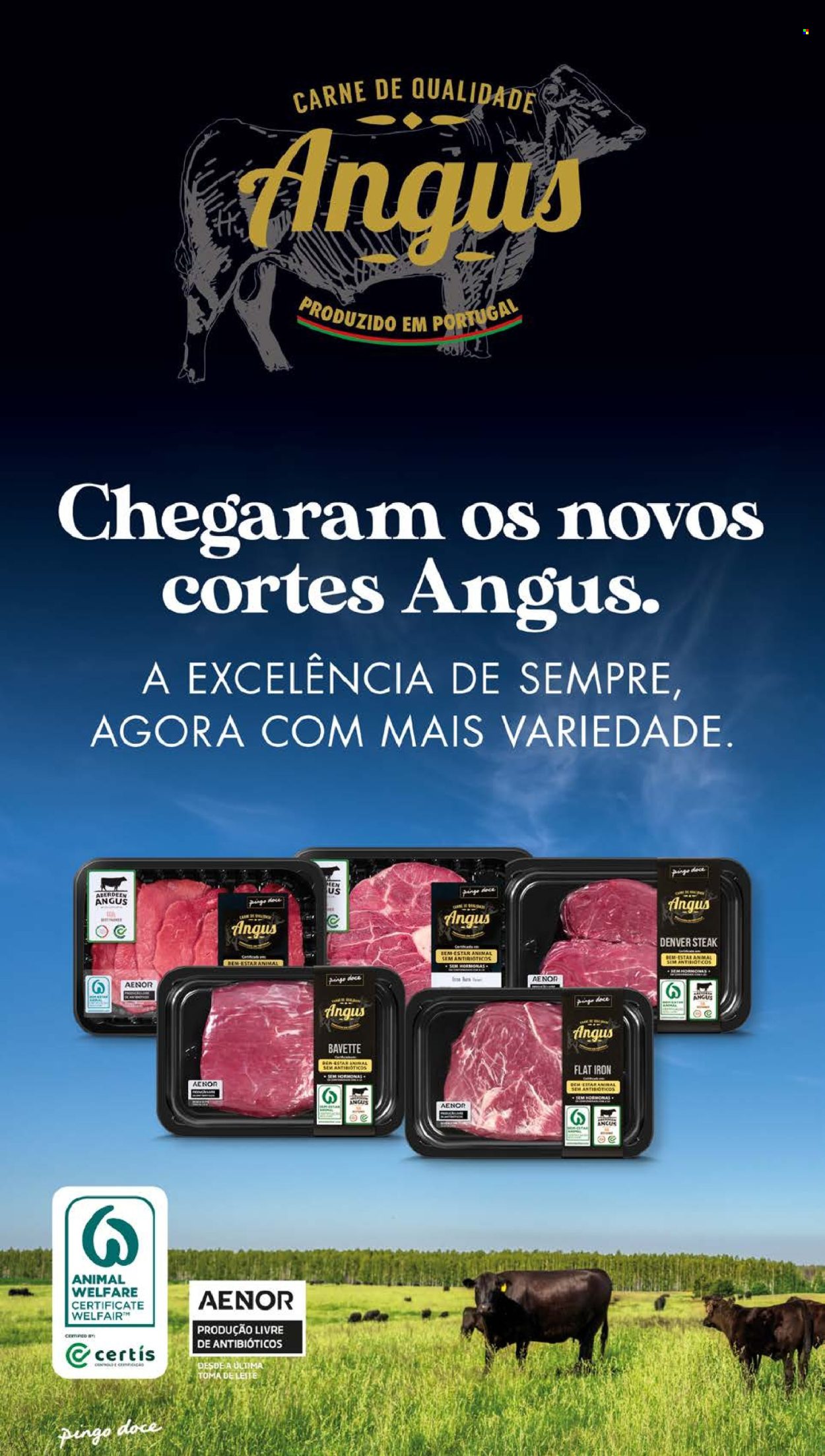 Folheto Pingo Doce - 29.9.2026 - 5.10.2026. Página 8