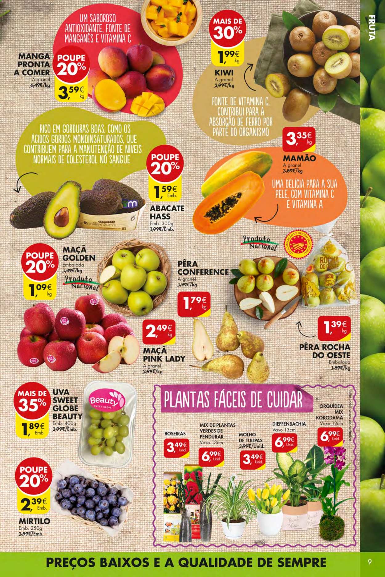 Folheto Pingo Doce - 19.1.2021 - 25.1.2021. Página 9