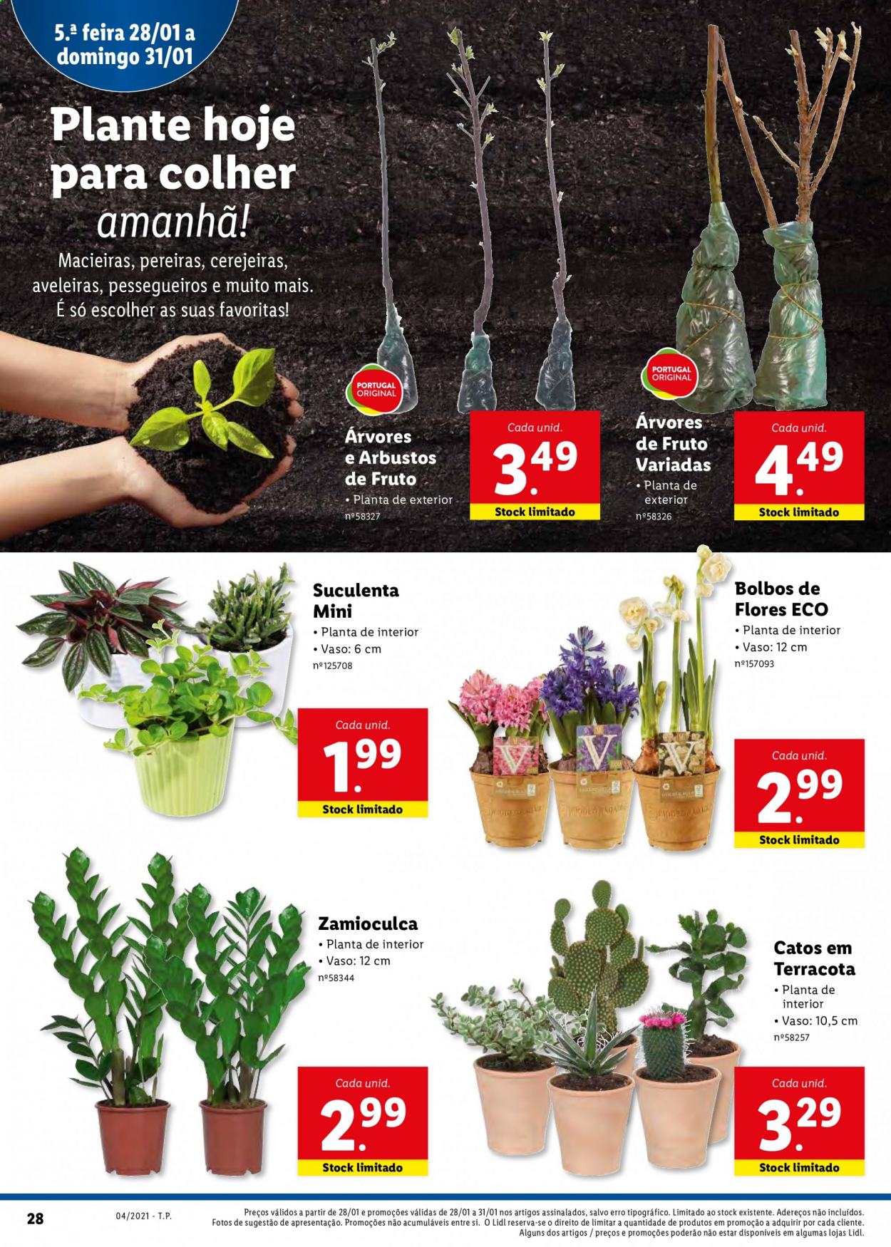 Folheto Lidl - 25.1.2021 - 31.1.2021. Página 50