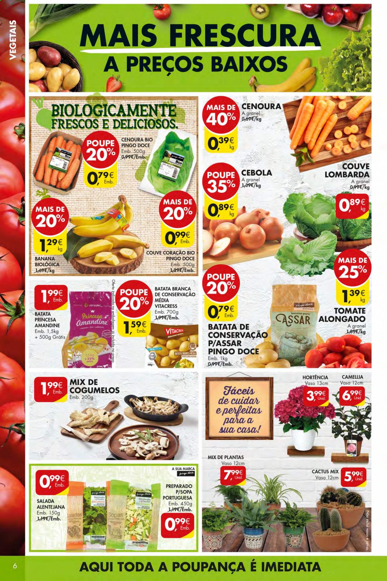 Folheto Pingo Doce - 26.1.2021 - 1.2.2021. Página 6