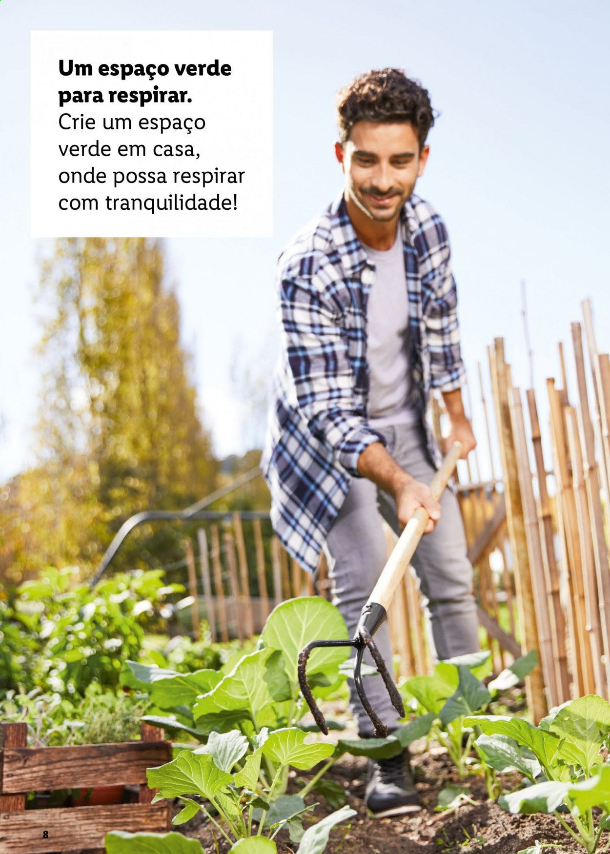 Folheto Lidl. Página 8