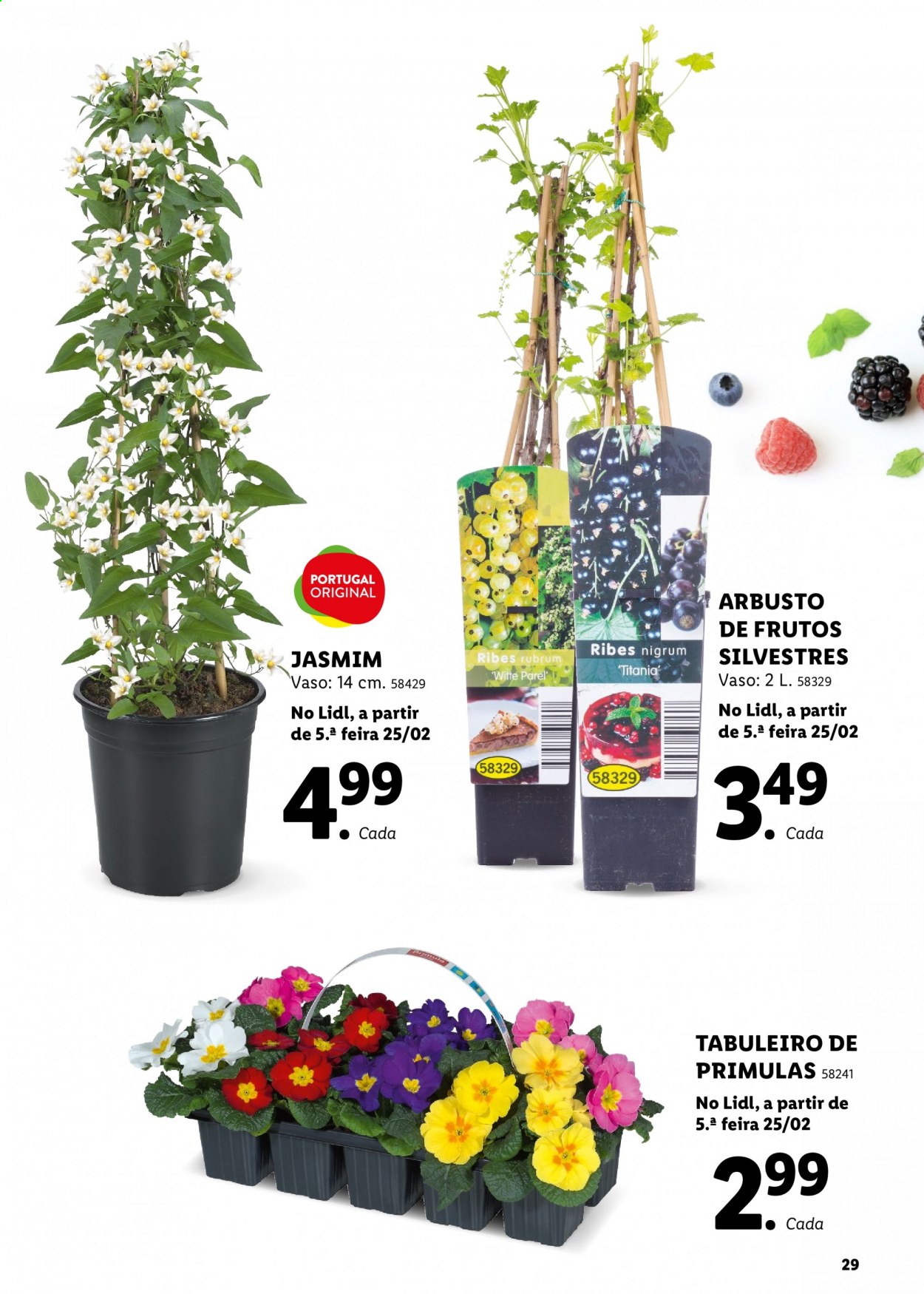 Folheto Lidl. Página 29