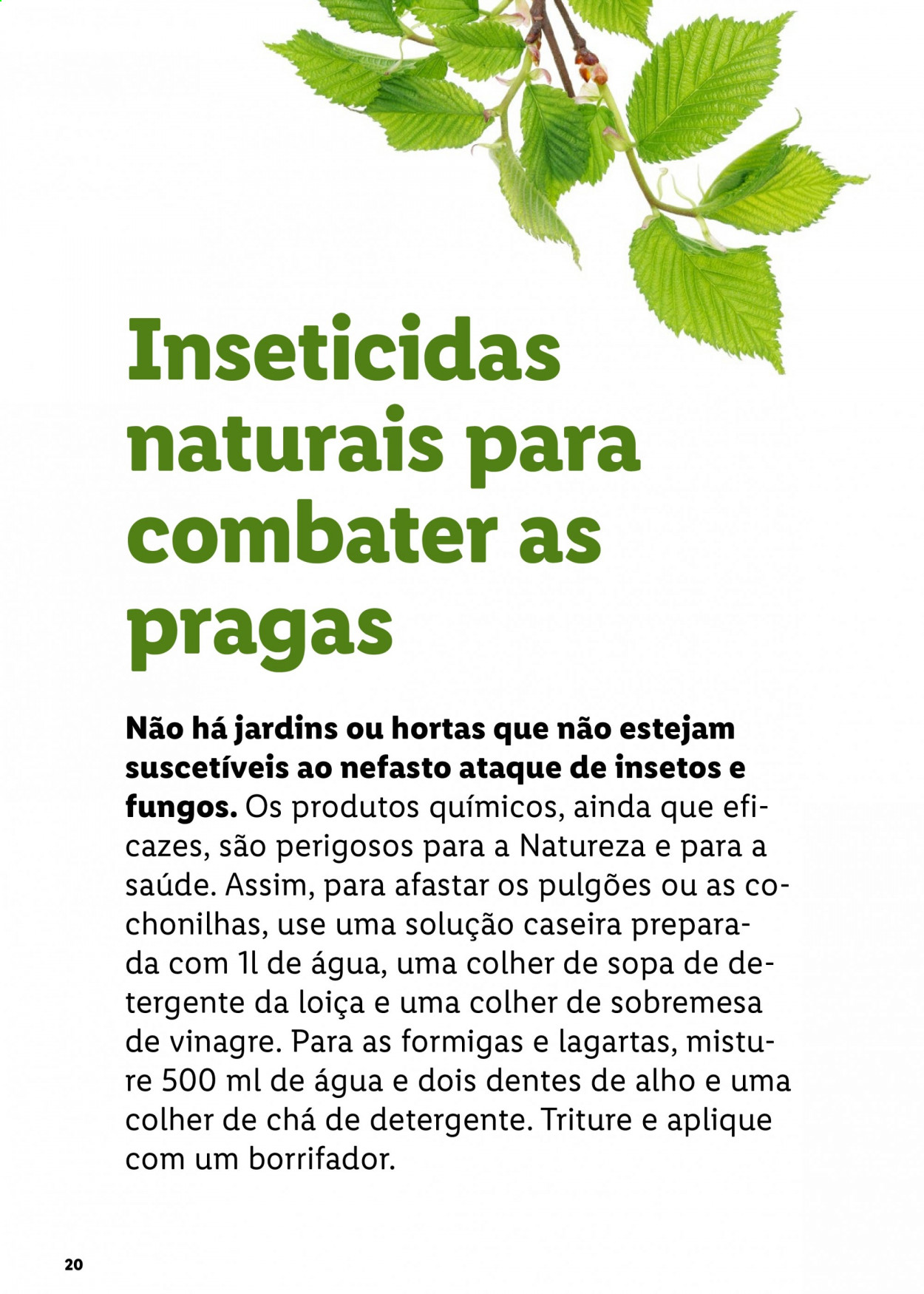 Folheto Lidl. Página 20