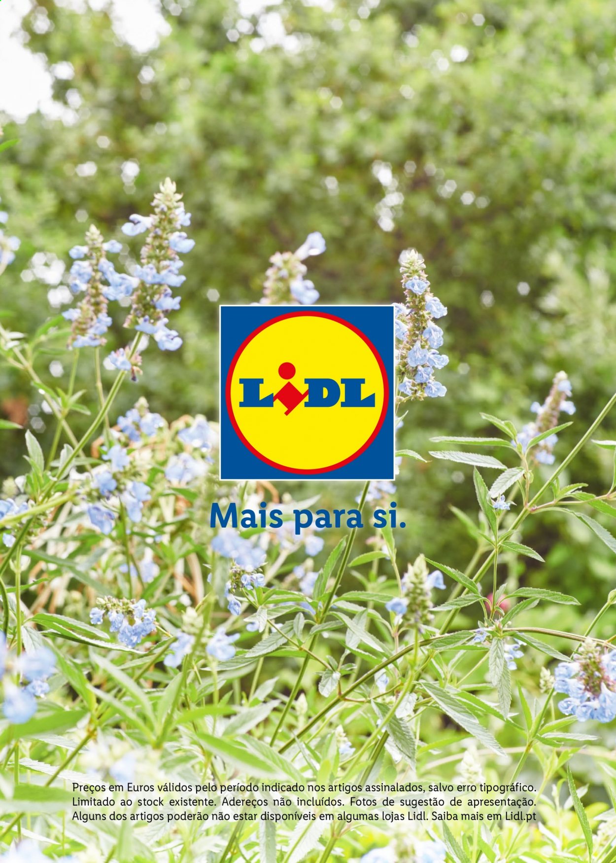 Folheto Lidl. Página 36