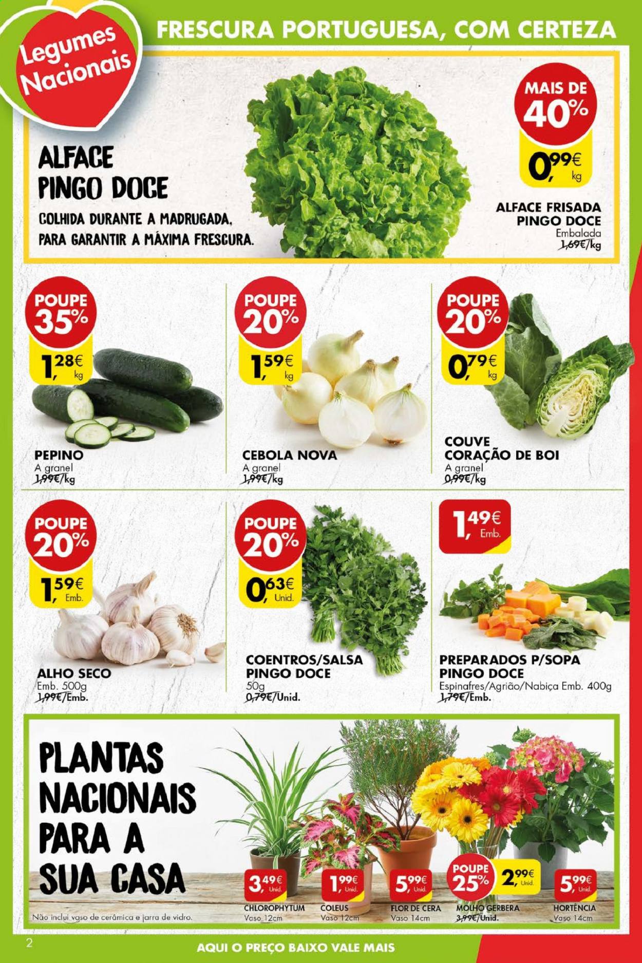 thumbnail - Folheto Pingo Doce - 13.4.2021 - 19.4.2021 - Produtos em promoção - alface, agrião, couve, cebola, legumes, molho, jarra, vaso. Página 2.