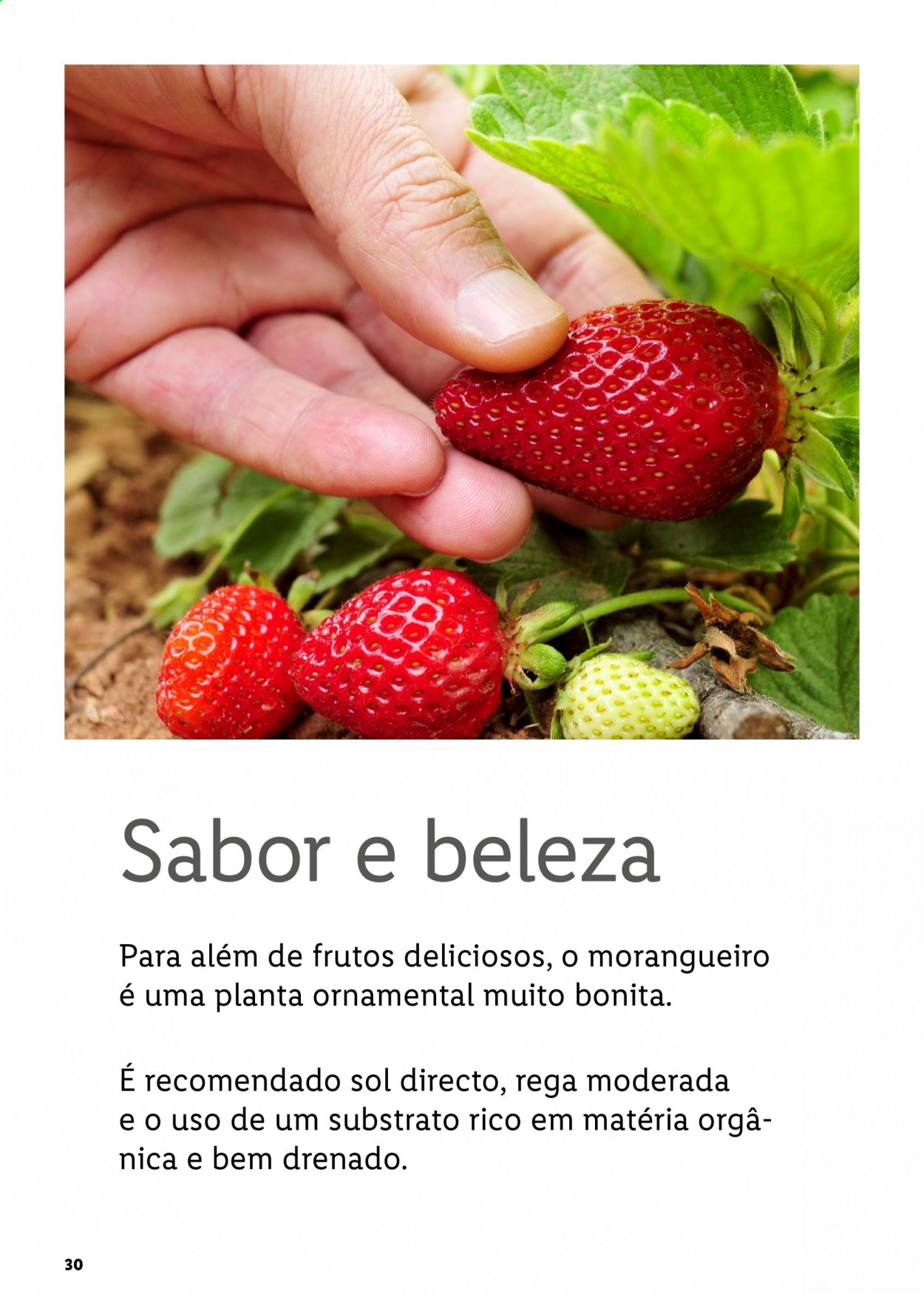 Folheto Lidl. Página 30