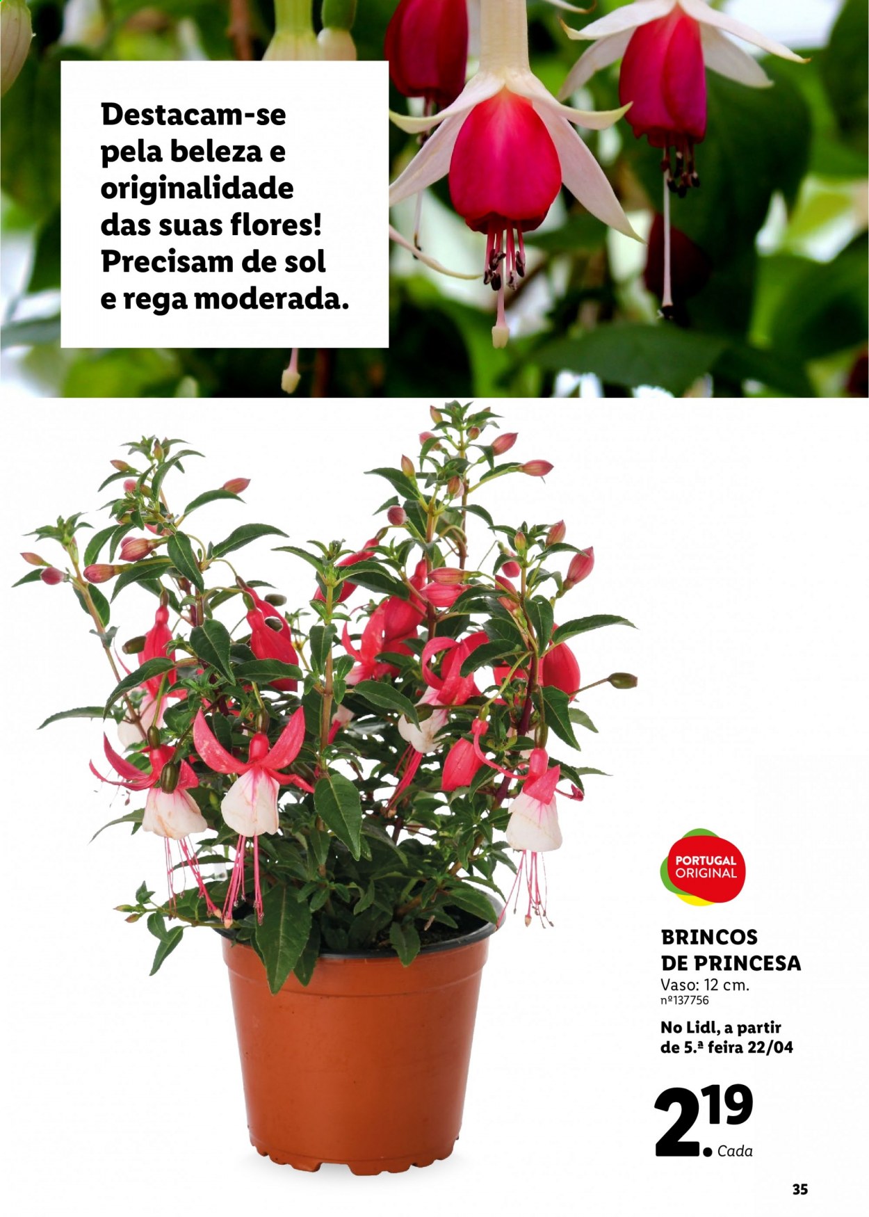 Folheto Lidl. Página 35