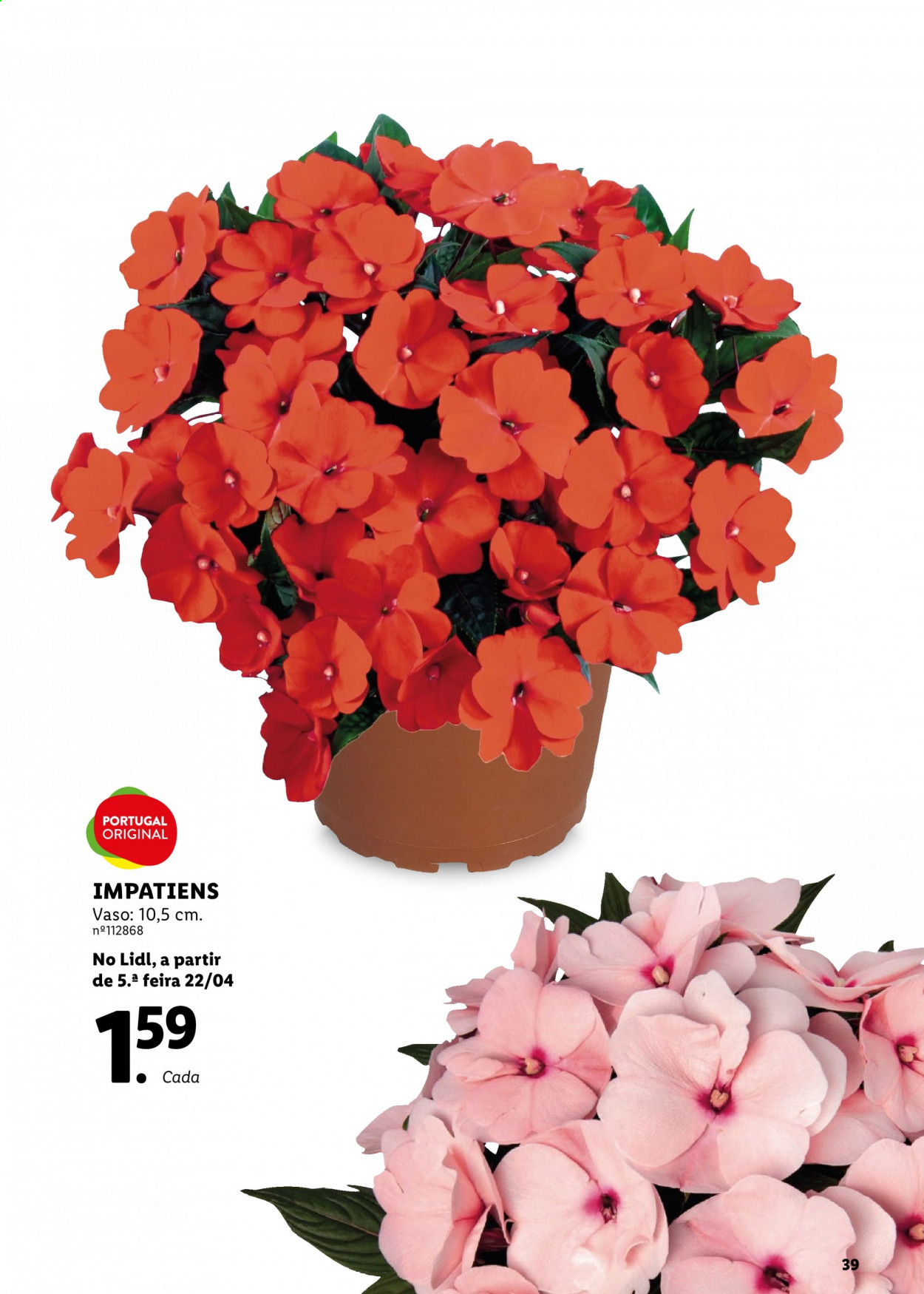 Folheto Lidl. Página 39