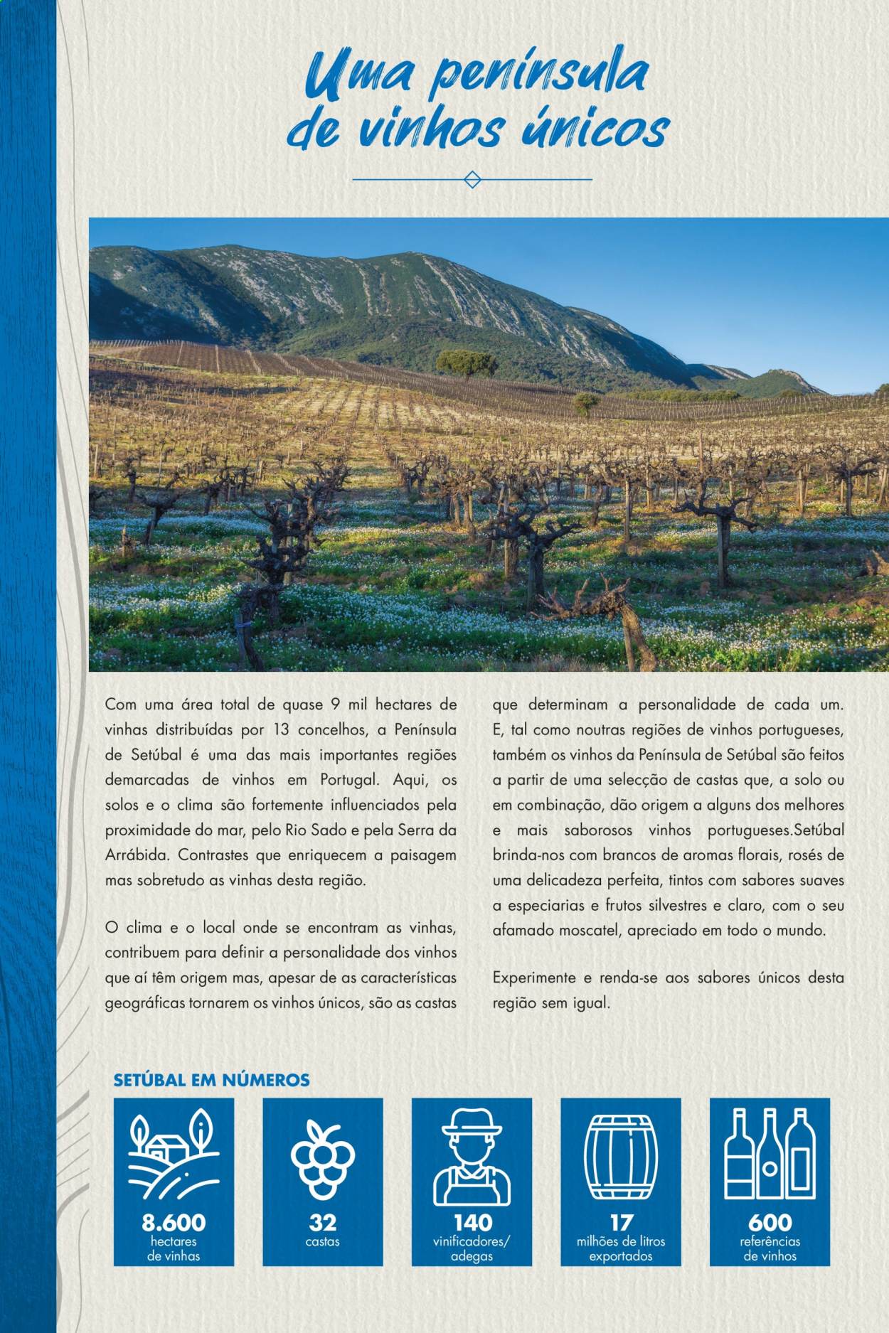 thumbnail - Folheto Pingo Doce - 5.5.2021 - 24.5.2021 - Produtos em promoção - vinho, moscatel, serra. Página 4.