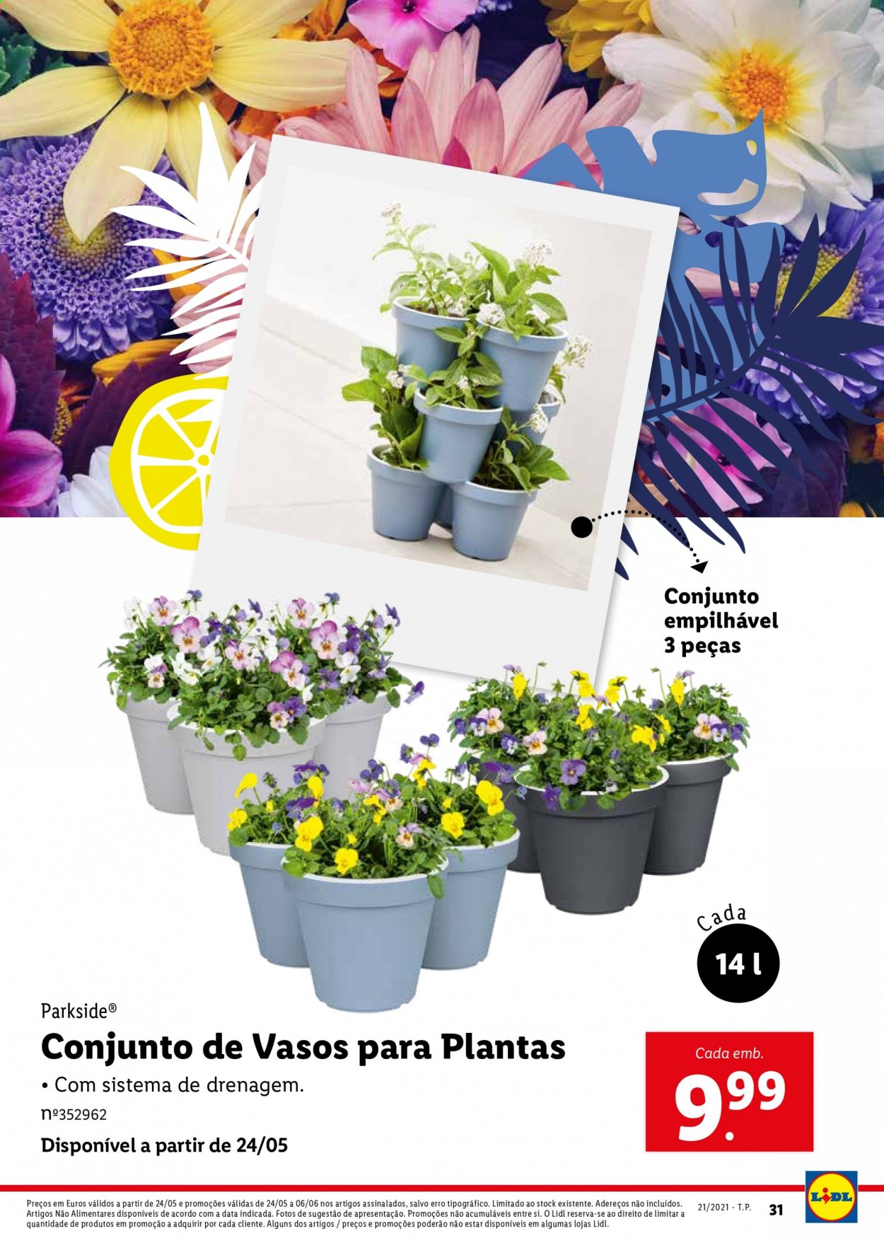 Folheto Lidl - 24.5.2021 - 6.6.2021. Página 31