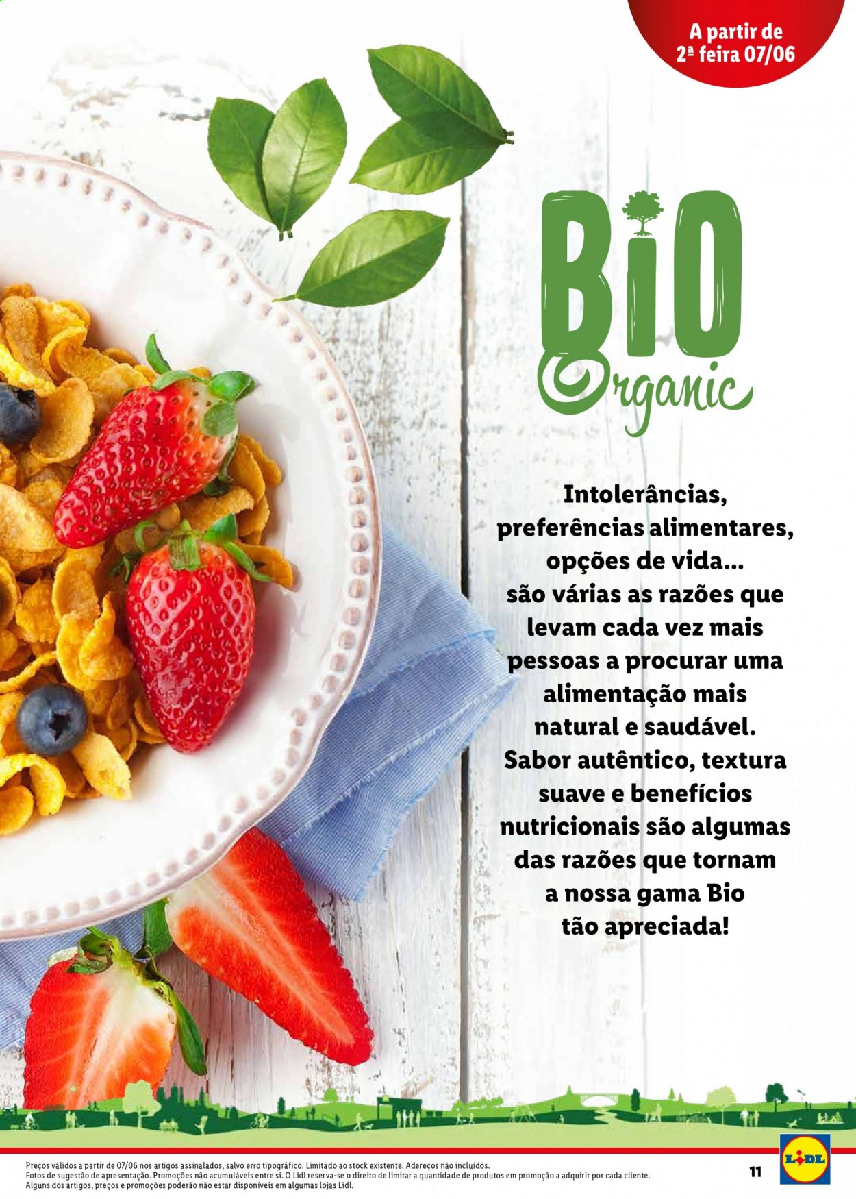 Folheto Lidl. Página 11