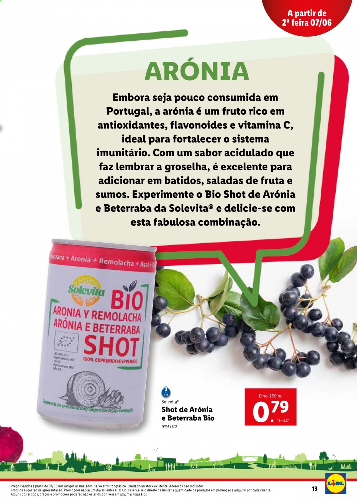 Folheto Lidl. Página 13