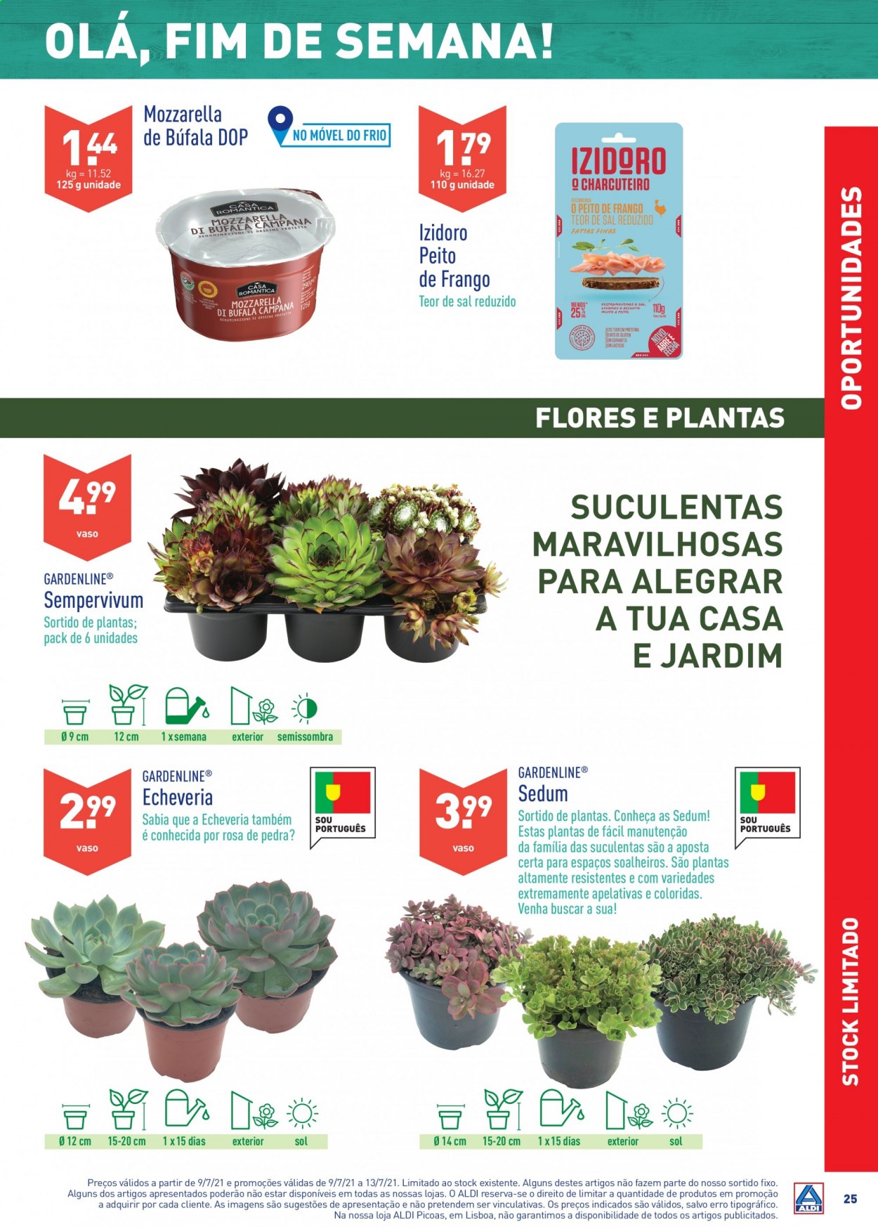 Folheto Aldi - 7.7.2021 - 13.7.2021. Página 25