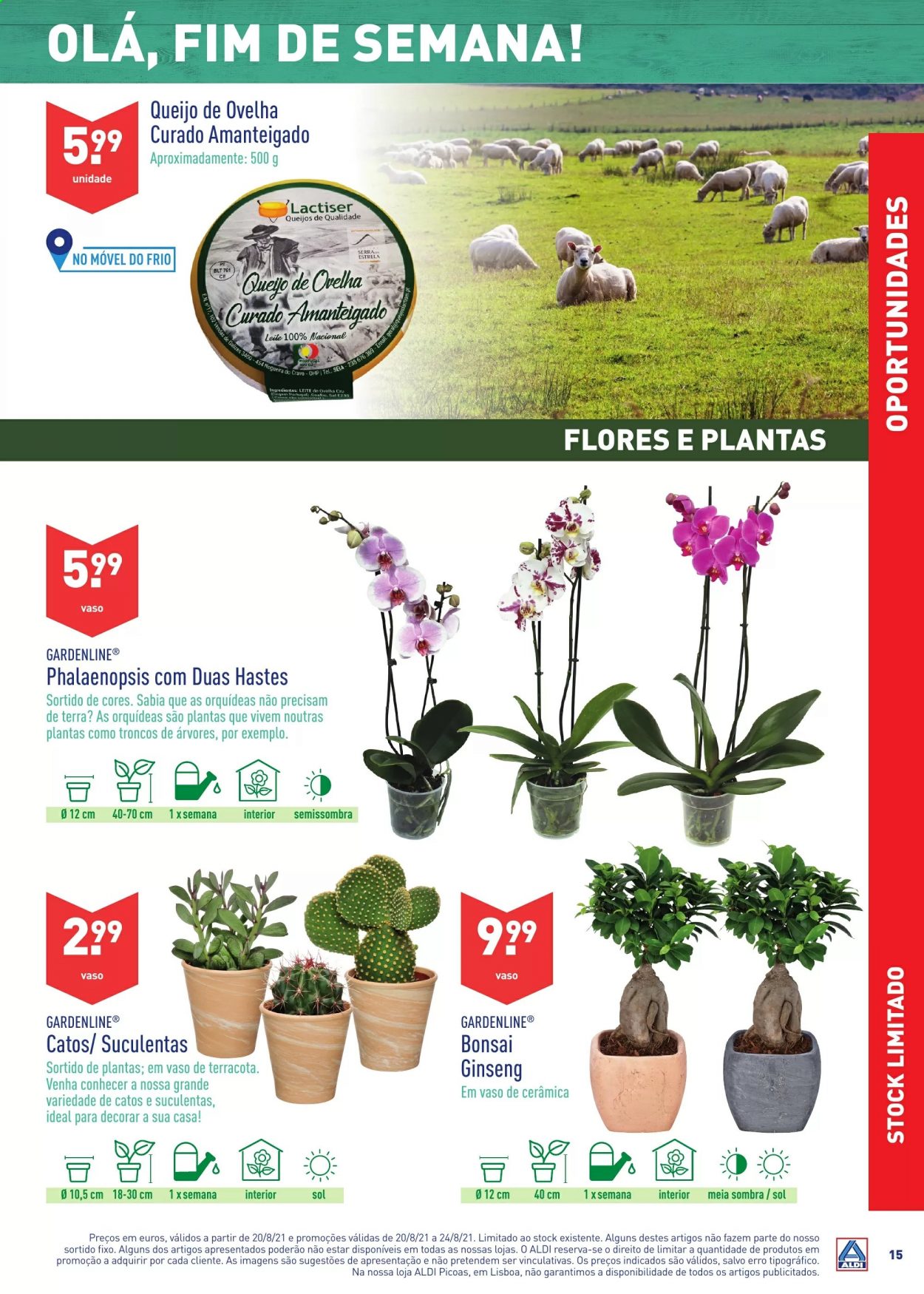 Folheto Aldi - 18.8.2021 - 24.8.2021. Página 15
