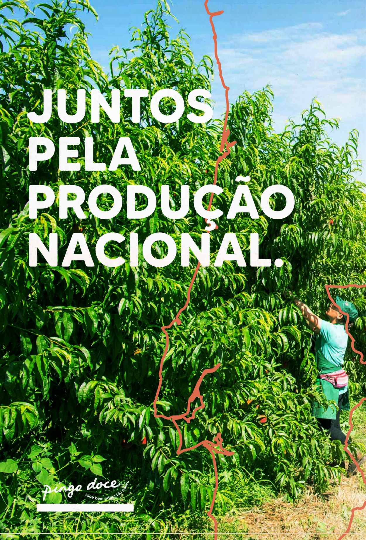 Folheto Pingo Doce - 24.8.2021 - 6.9.2021. Página 4
