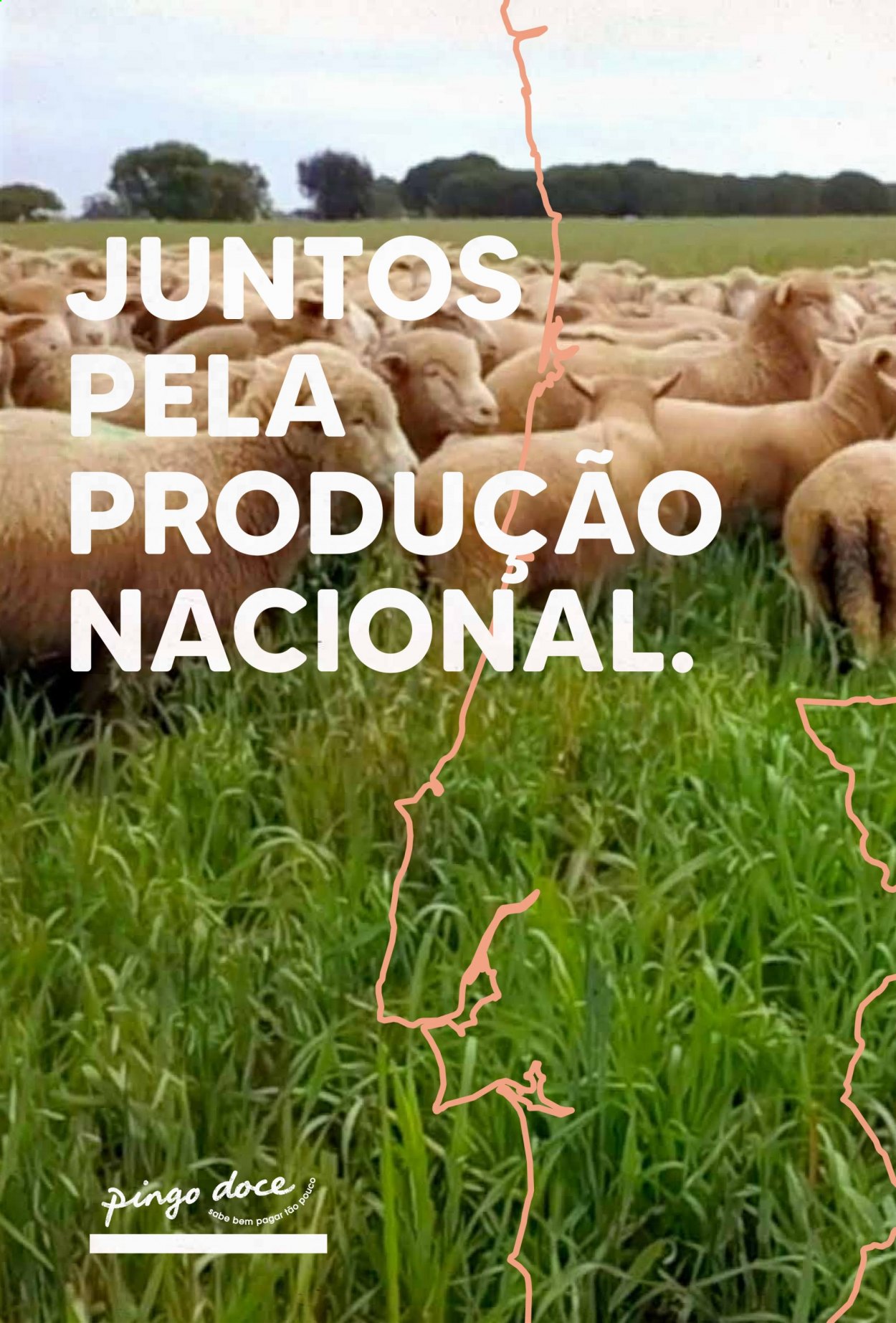 Folheto Pingo Doce - 24.8.2021 - 6.9.2021. Página 20