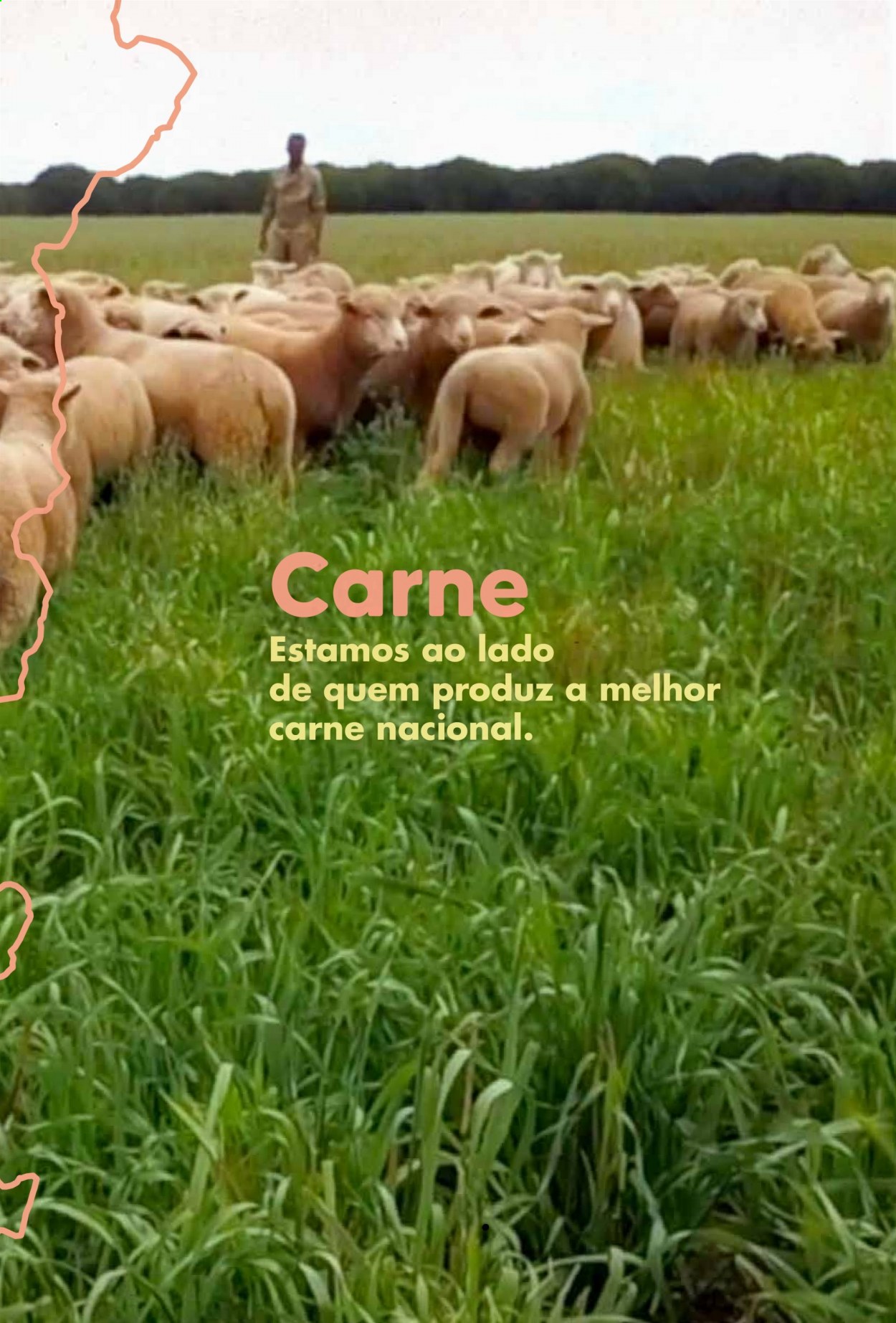 Folheto Pingo Doce - 24.8.2021 - 6.9.2021. Página 21
