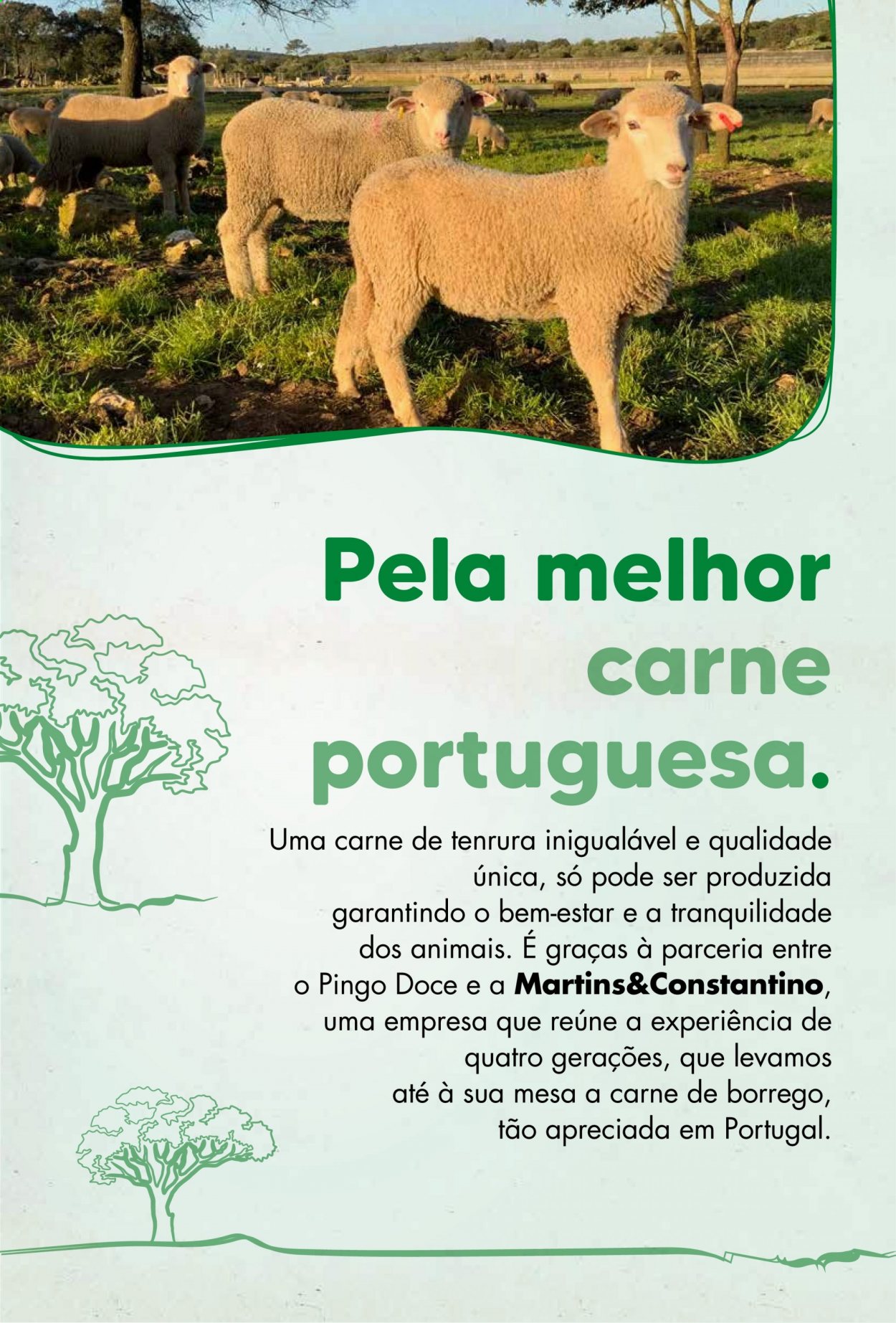 Folheto Pingo Doce - 24.8.2021 - 6.9.2021. Página 24
