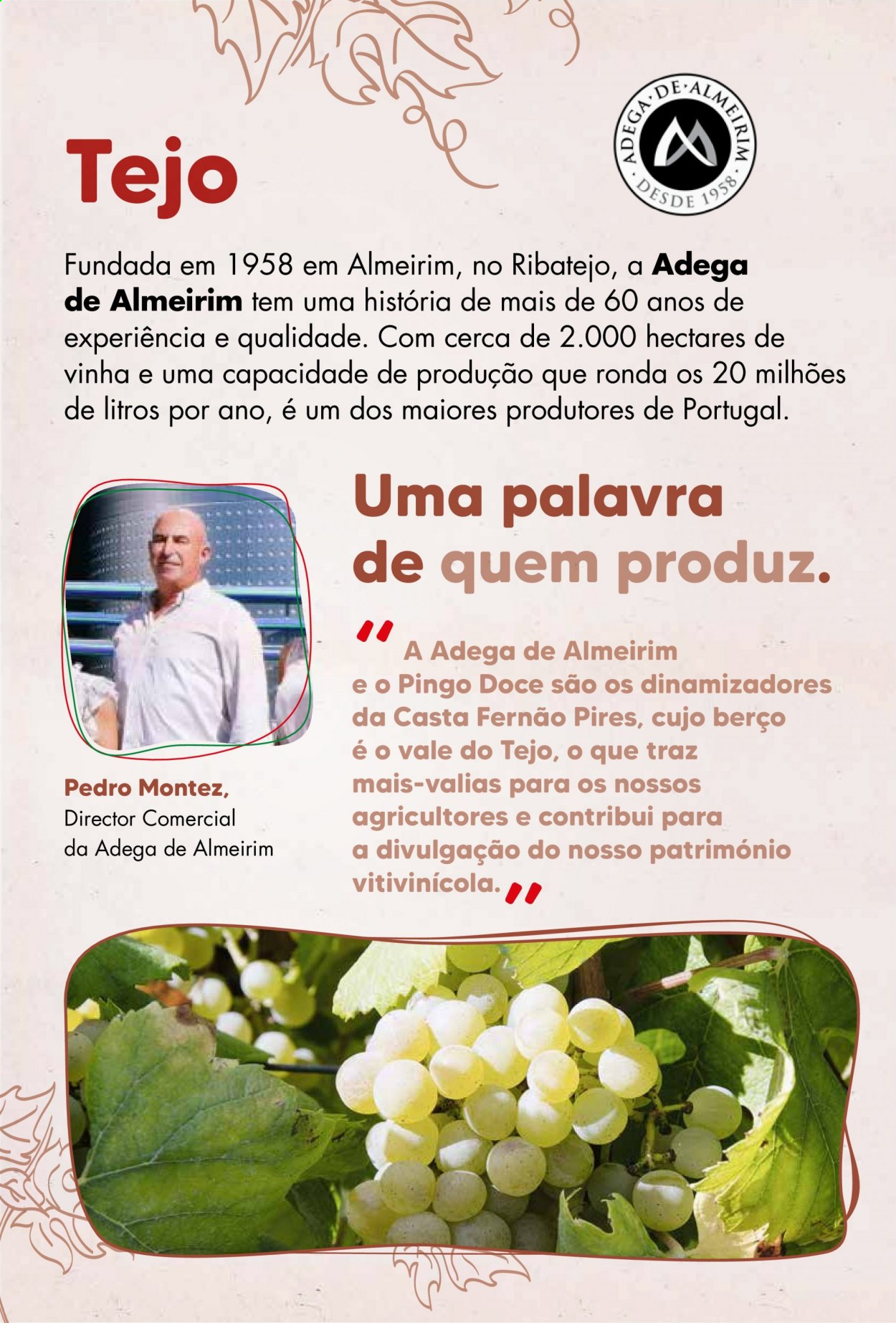 Folheto Pingo Doce - 24.8.2021 - 6.9.2021. Página 60