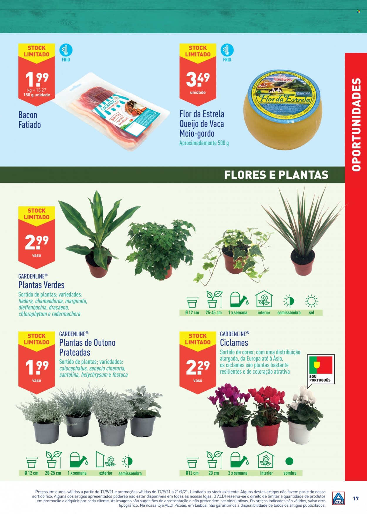 Folheto Aldi - 15.9.2021 - 21.9.2021. Página 17
