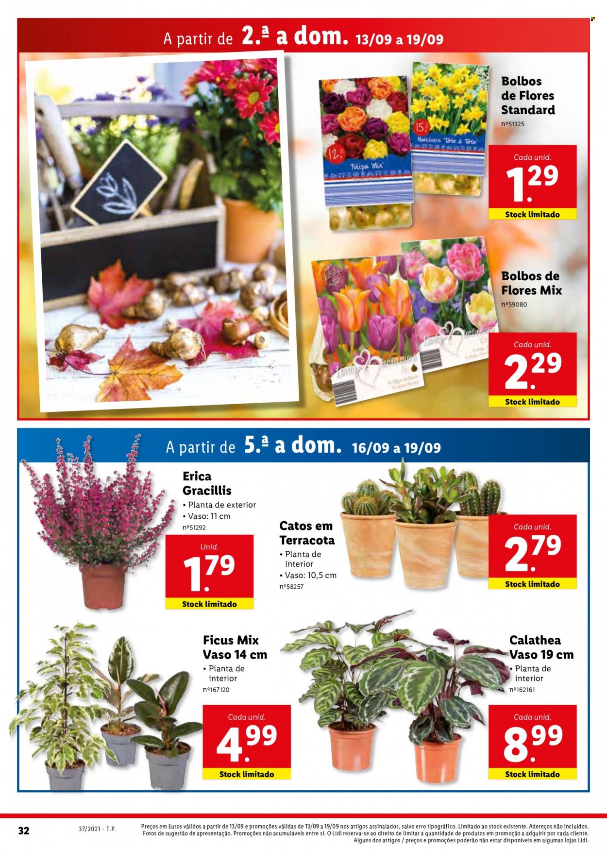 Folheto Lidl - 13.9.2021 - 19.9.2021. Página 50