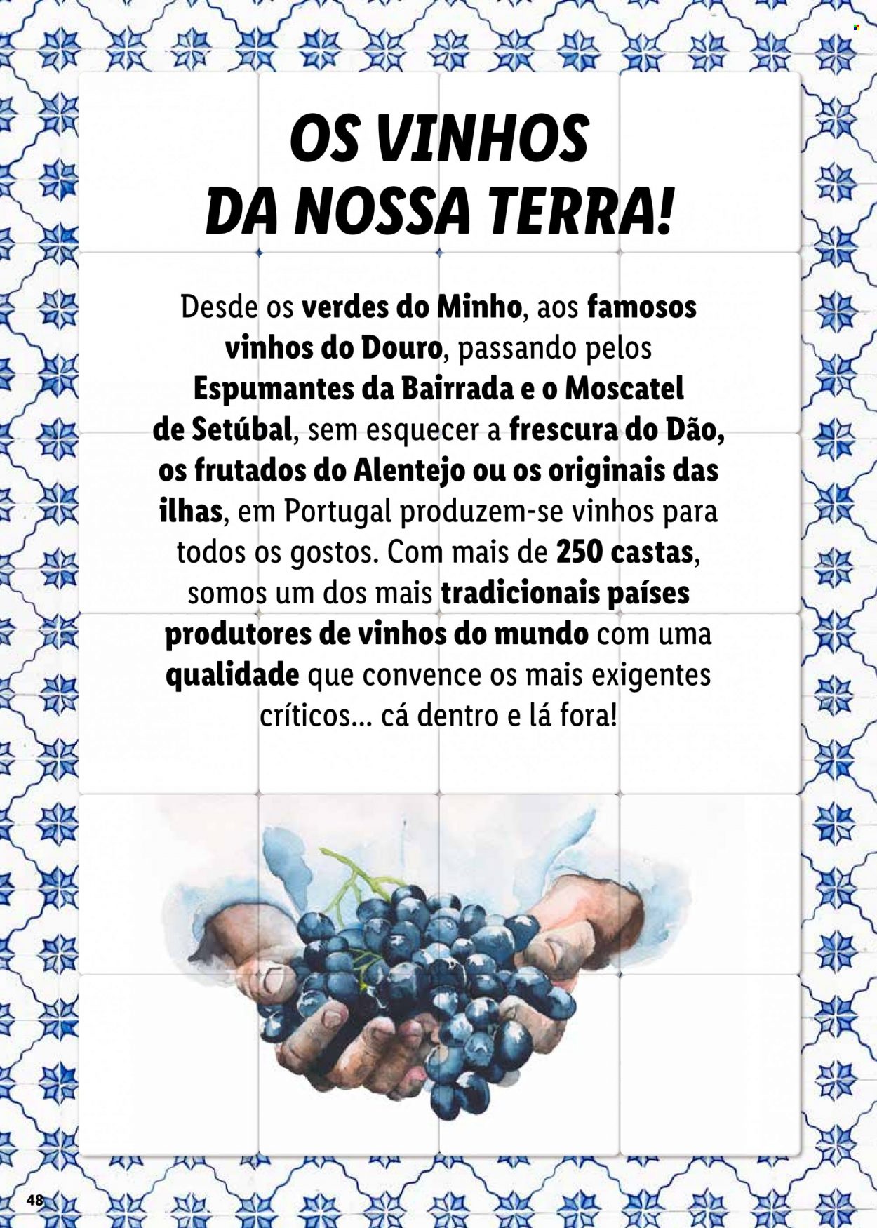 Folheto Lidl - 13.9.2021 - 19.9.2021. Página 48