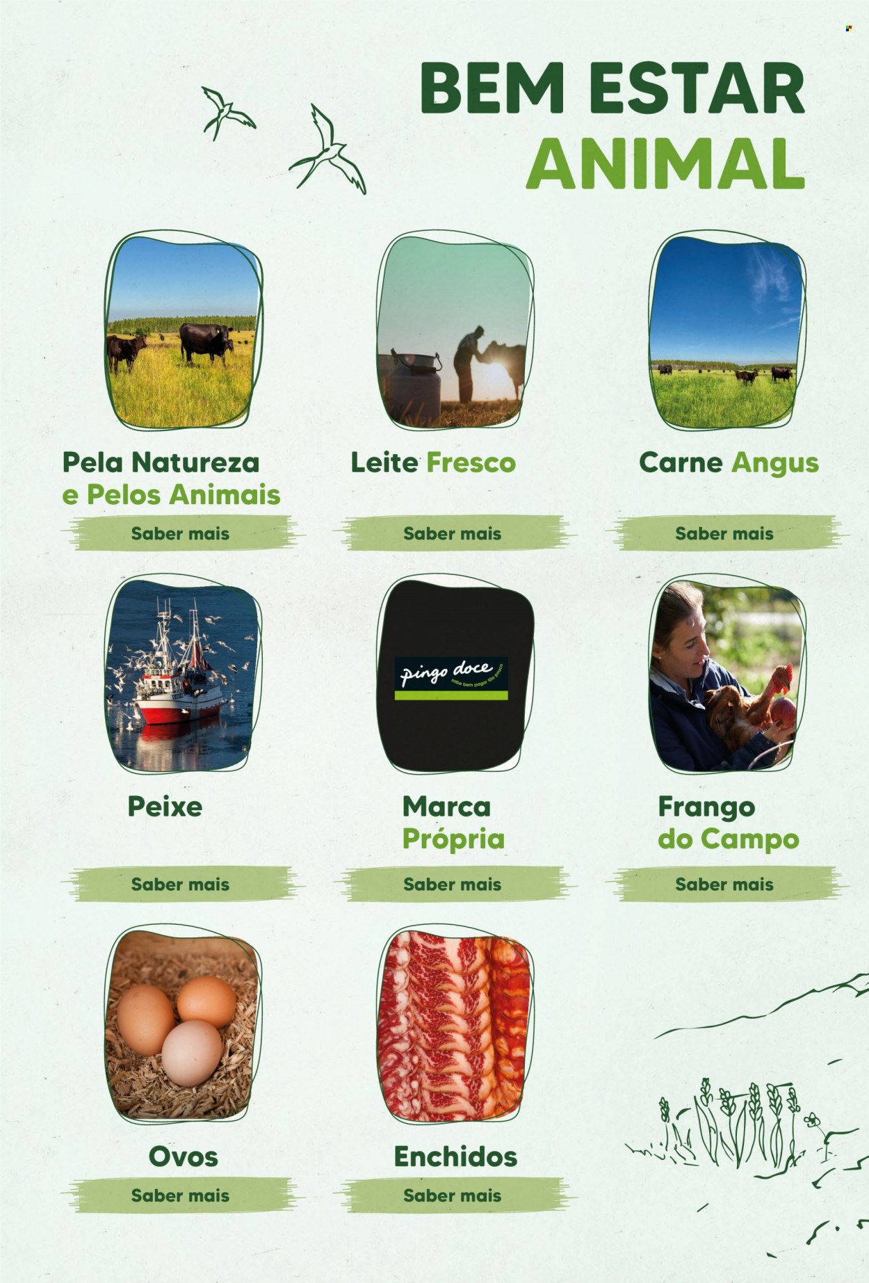 thumbnail - Folheto Pingo Doce - 10.9.2021 - 27.9.2021 - Produtos em promoção - carne, frango, Angus, peixe, leite, ovos. Página 4.