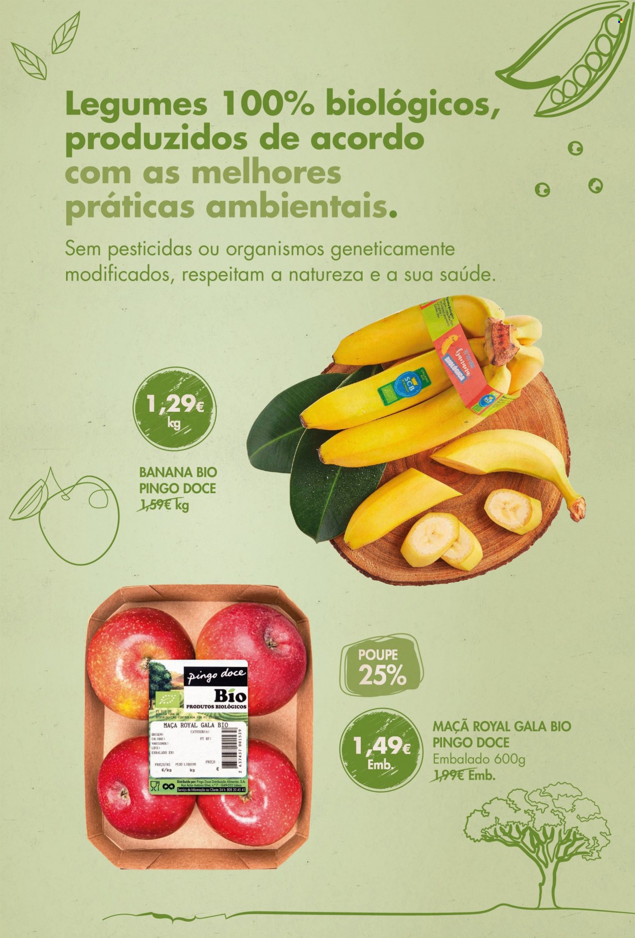 thumbnail - Folheto Pingo Doce - 10.9.2021 - 27.9.2021 - Produtos em promoção - banana, maçã, legumes. Página 45.
