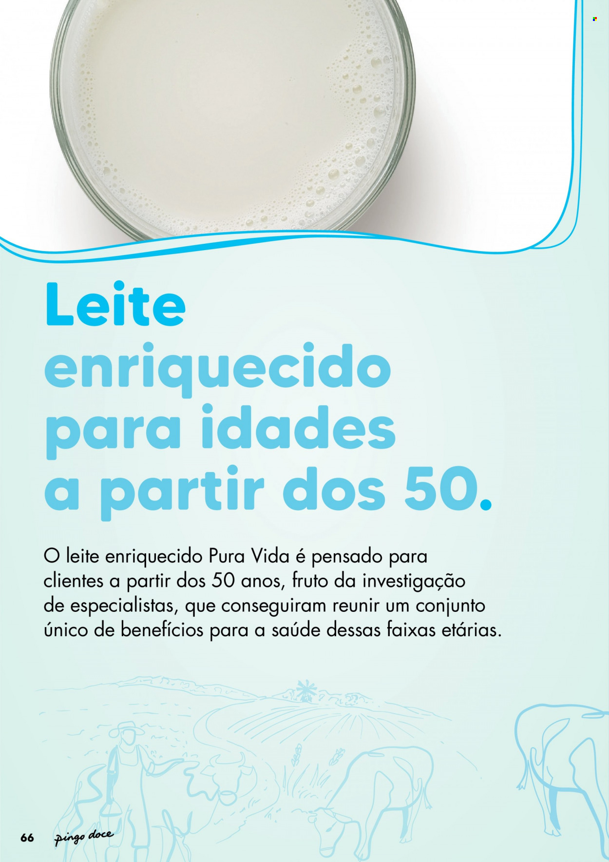 Folheto Pingo Doce - 28.9.2021 - 11.10.2021. Página 66