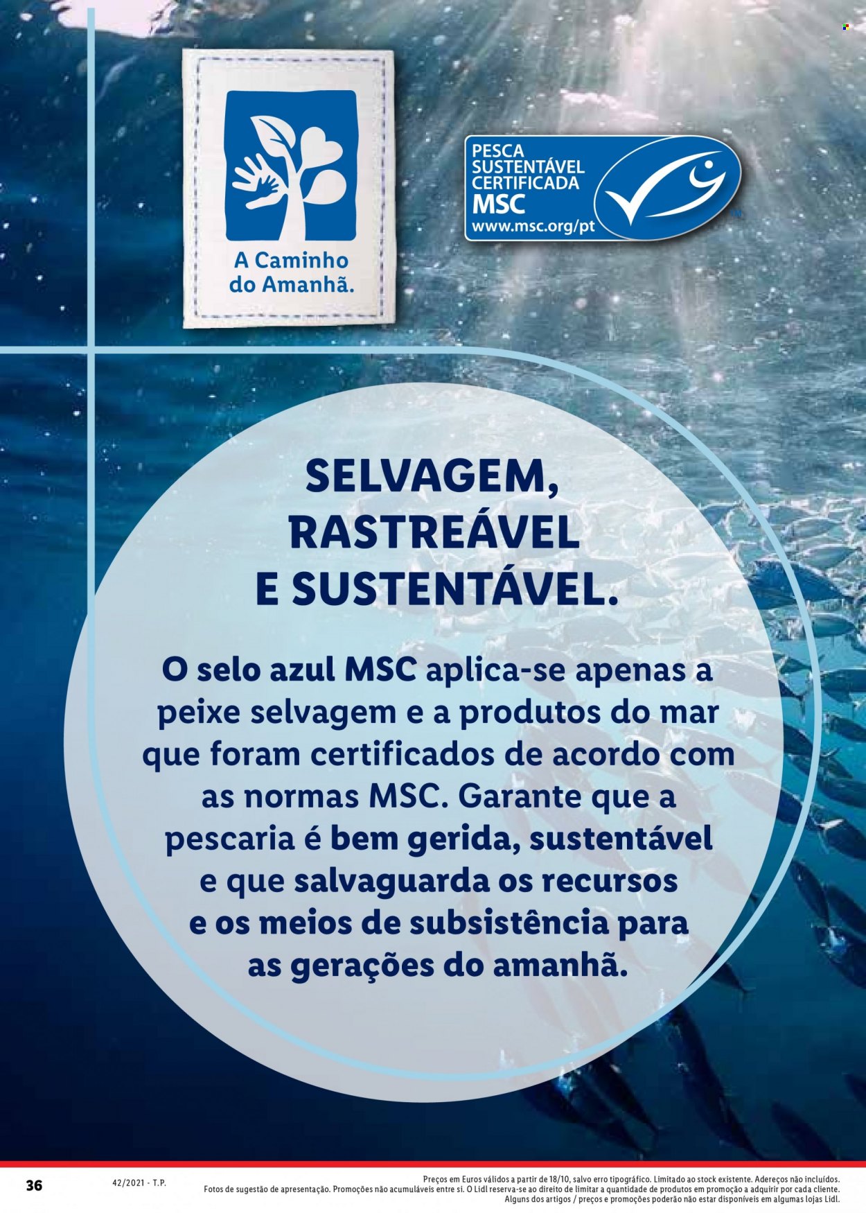 Folheto Lidl. Página 36