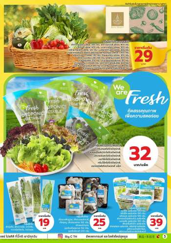 ใบปลิว {store}