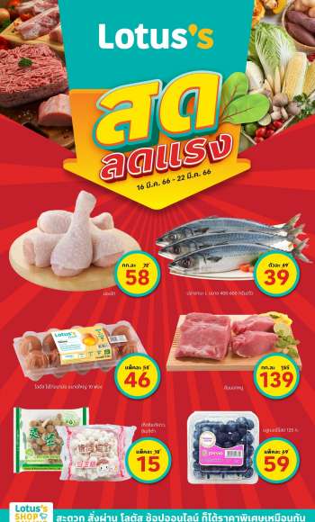 ใบปลิว {store}