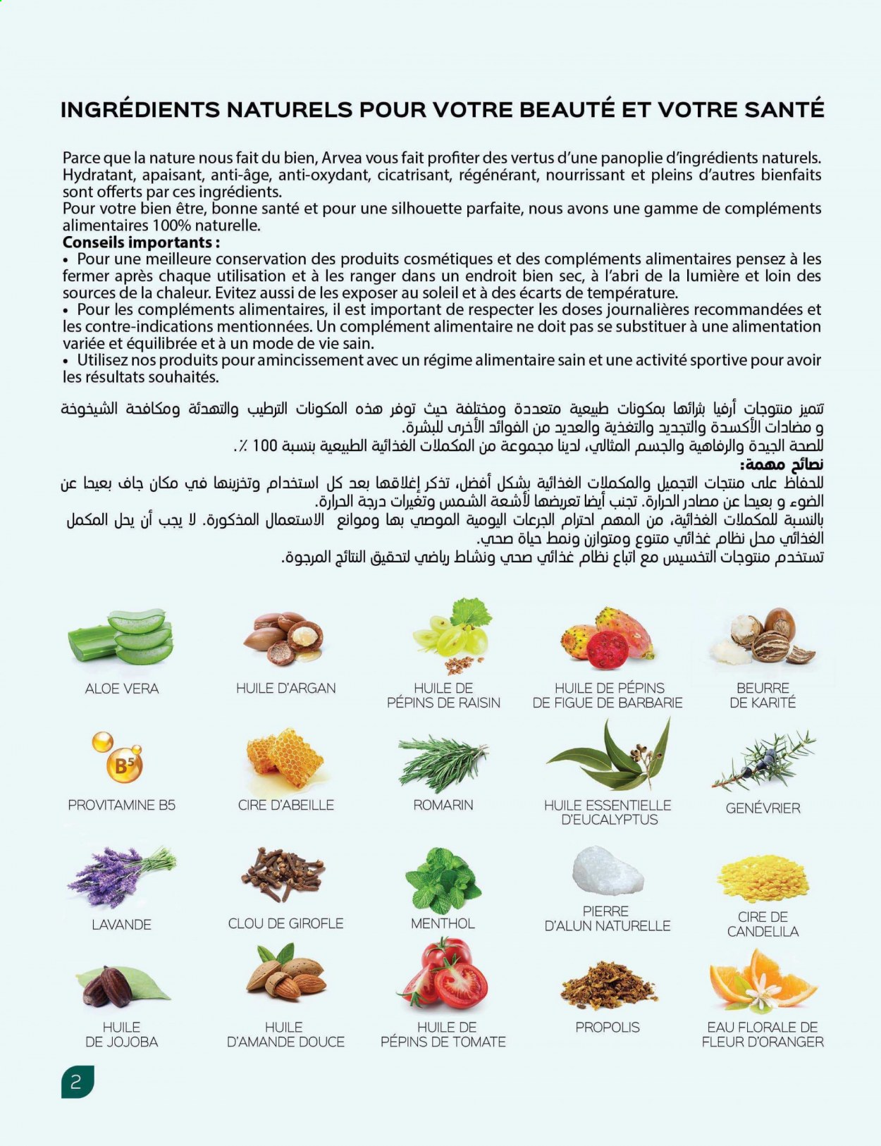 Catalogue ARVEA. Page 4