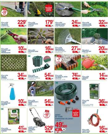 Catalogue Géant