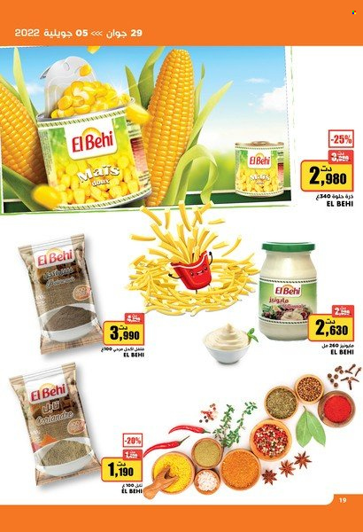 Catalogue Aziza - 29/06/2022 - 05/07/2022. Page 19