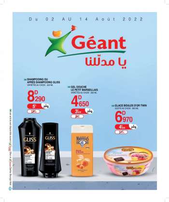 Catalogue Géant - 02/08/2022 - 14/08/2022.