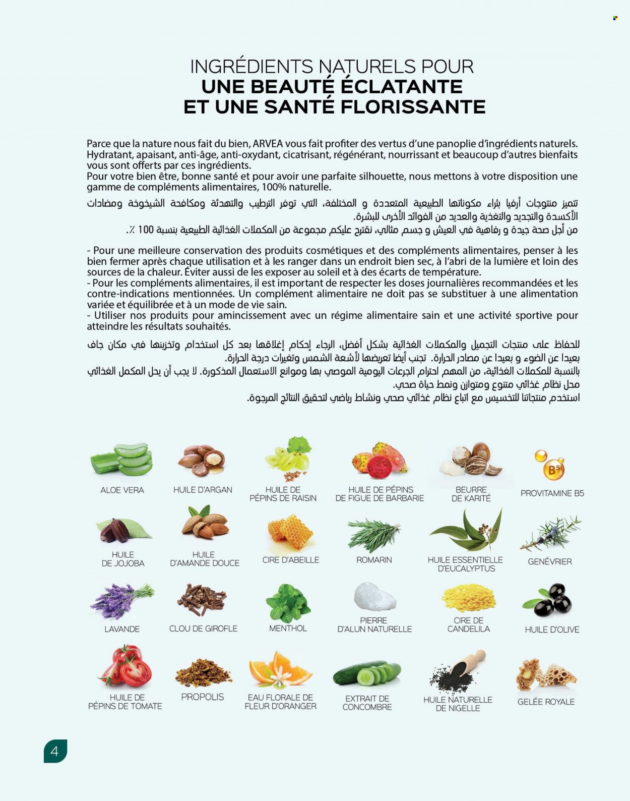 Catalogue ARVEA. Page 6