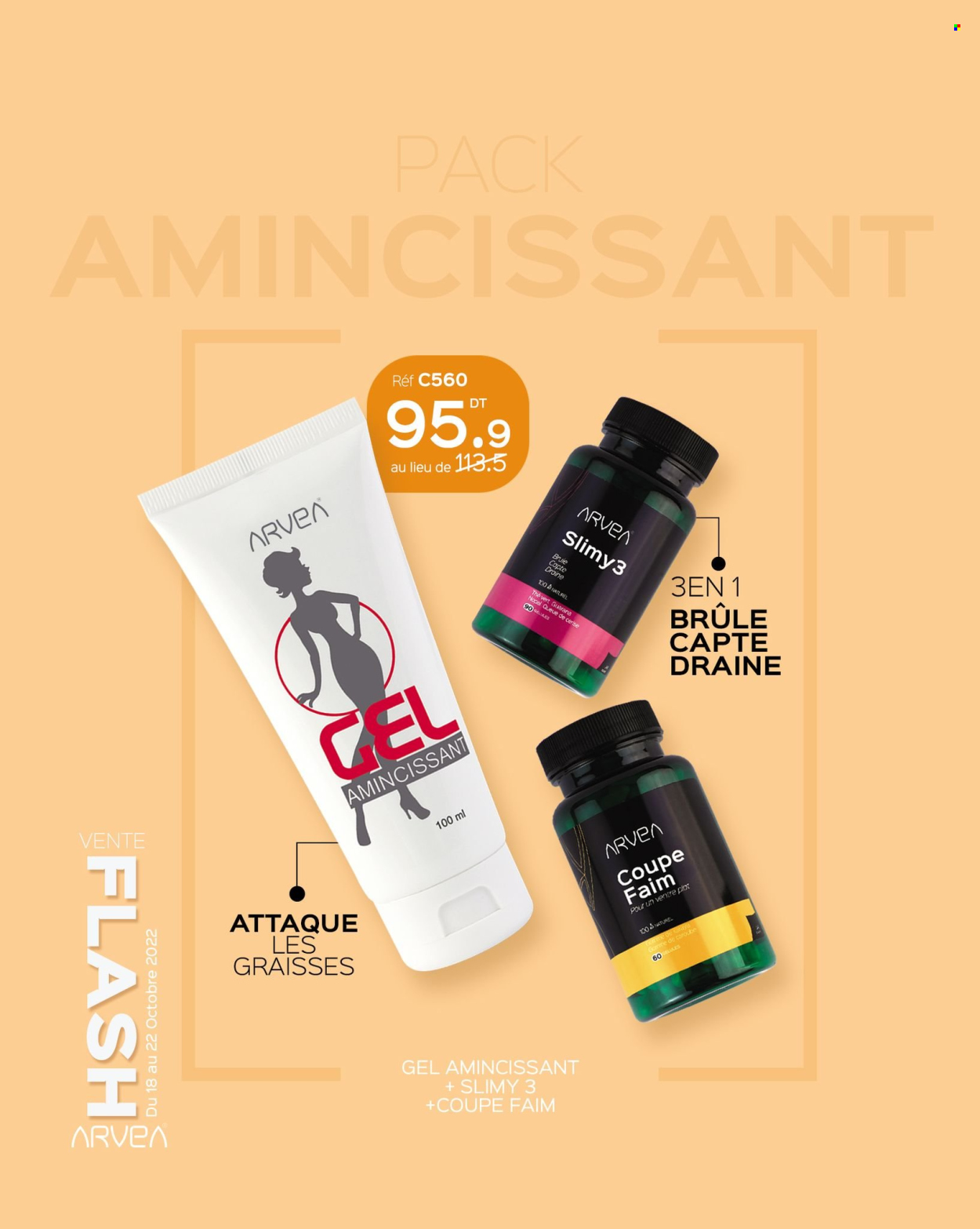 Catalogue ARVEA. Page 3