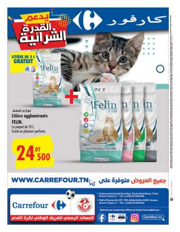 Catalogue Carrefour - 02/11/2022 - 13/11/2022.